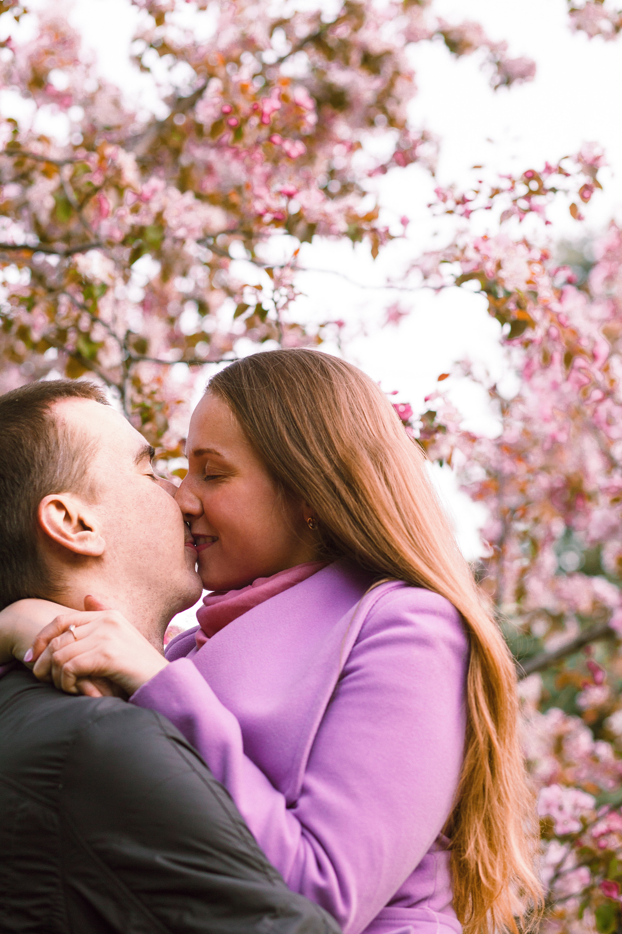 Когда цветёт сакура…