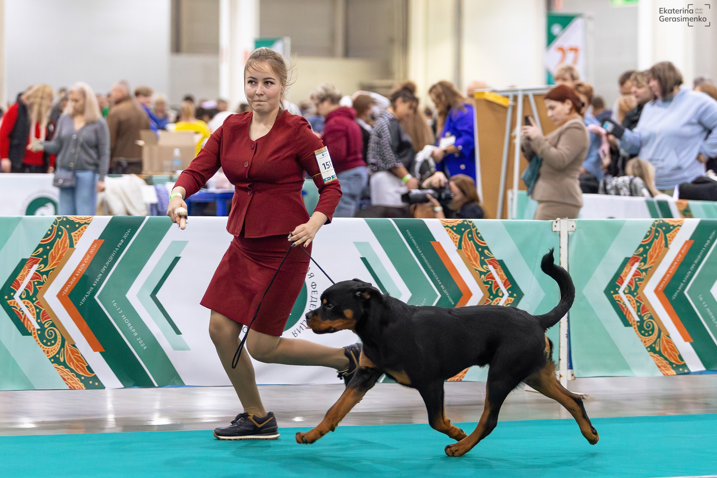 16–17 ноября 2024, Выставка ЕВРАЗИЯ, г. Москва. Htykk_photo