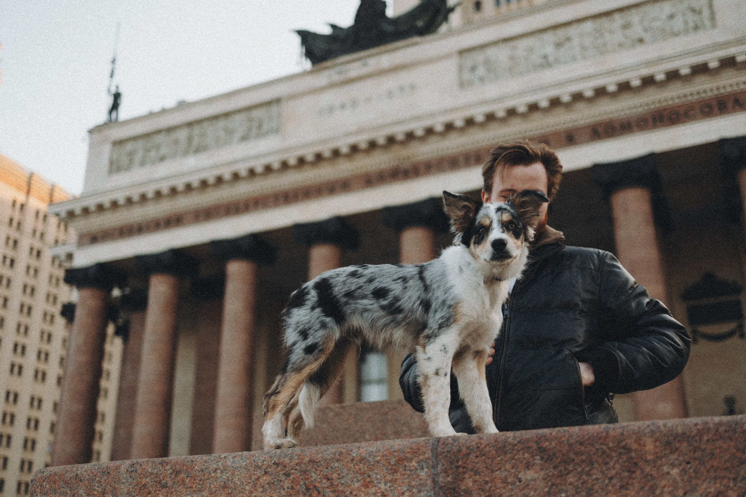 Балу и Илья. Фотограф анималист Анастасия Пикей