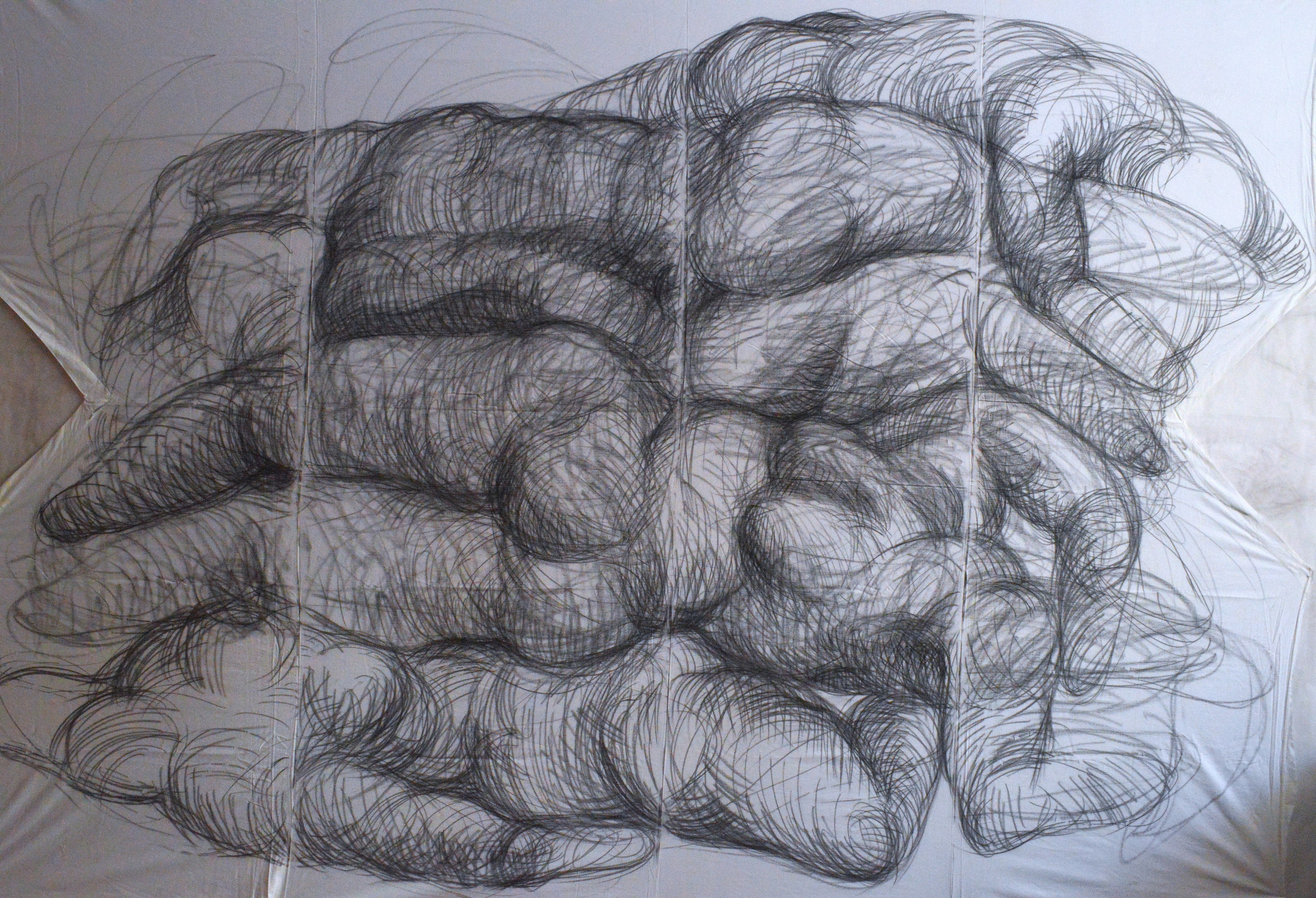 " Графические фрески» 2025. Лилия Ким. Междисциплинарный художник