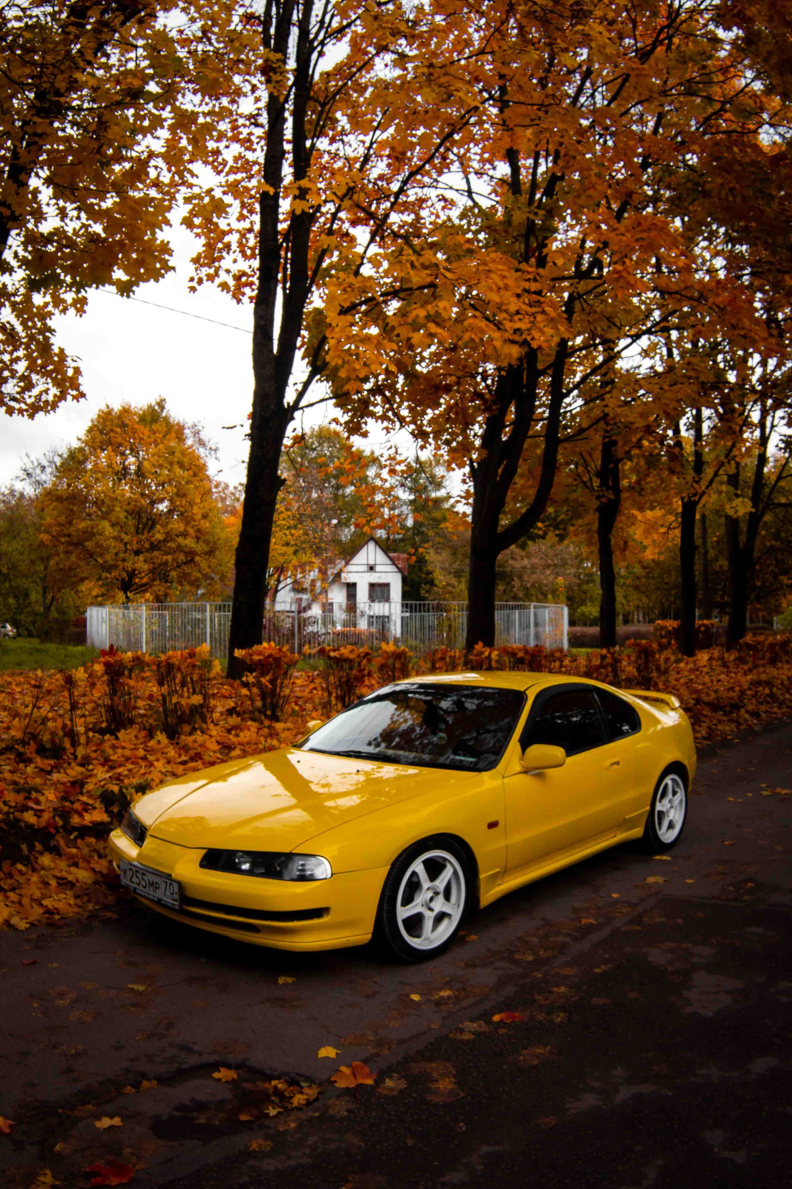 Осеннее настроение. Александр Попов