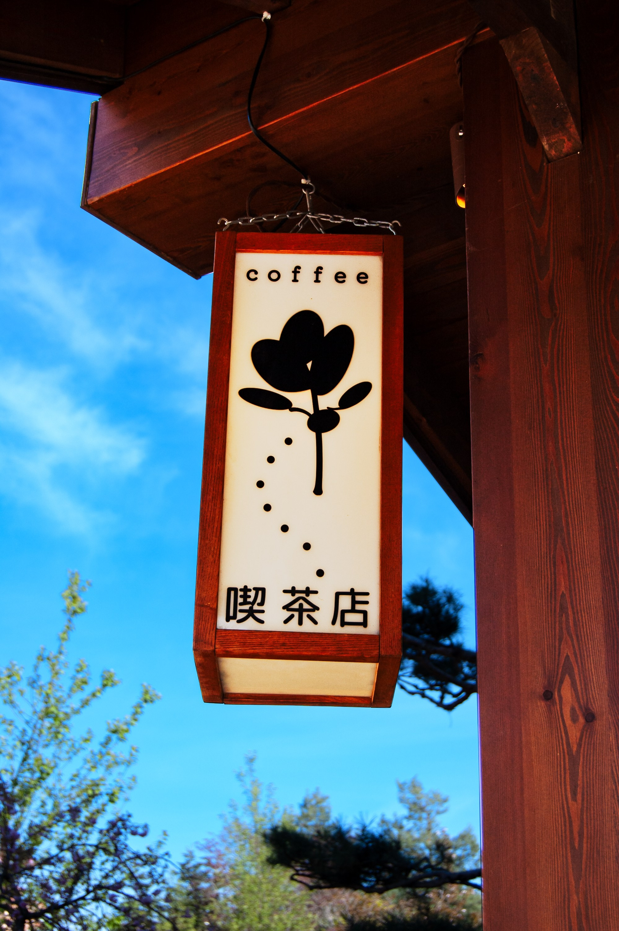 Фотосессия эстетики Японского сада в Краснодаре. Портретный фотограф в Краснодаре Слава Никитин