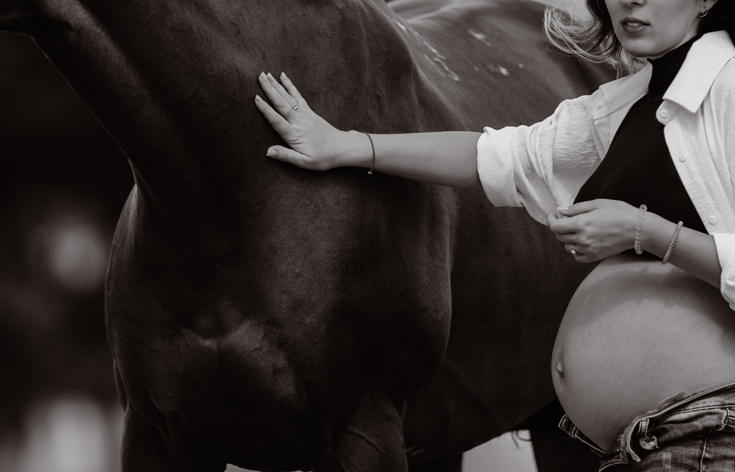 Лена, Серёжа, Петя и Брабус. Фотограф-анималист Ксендзова Кристина