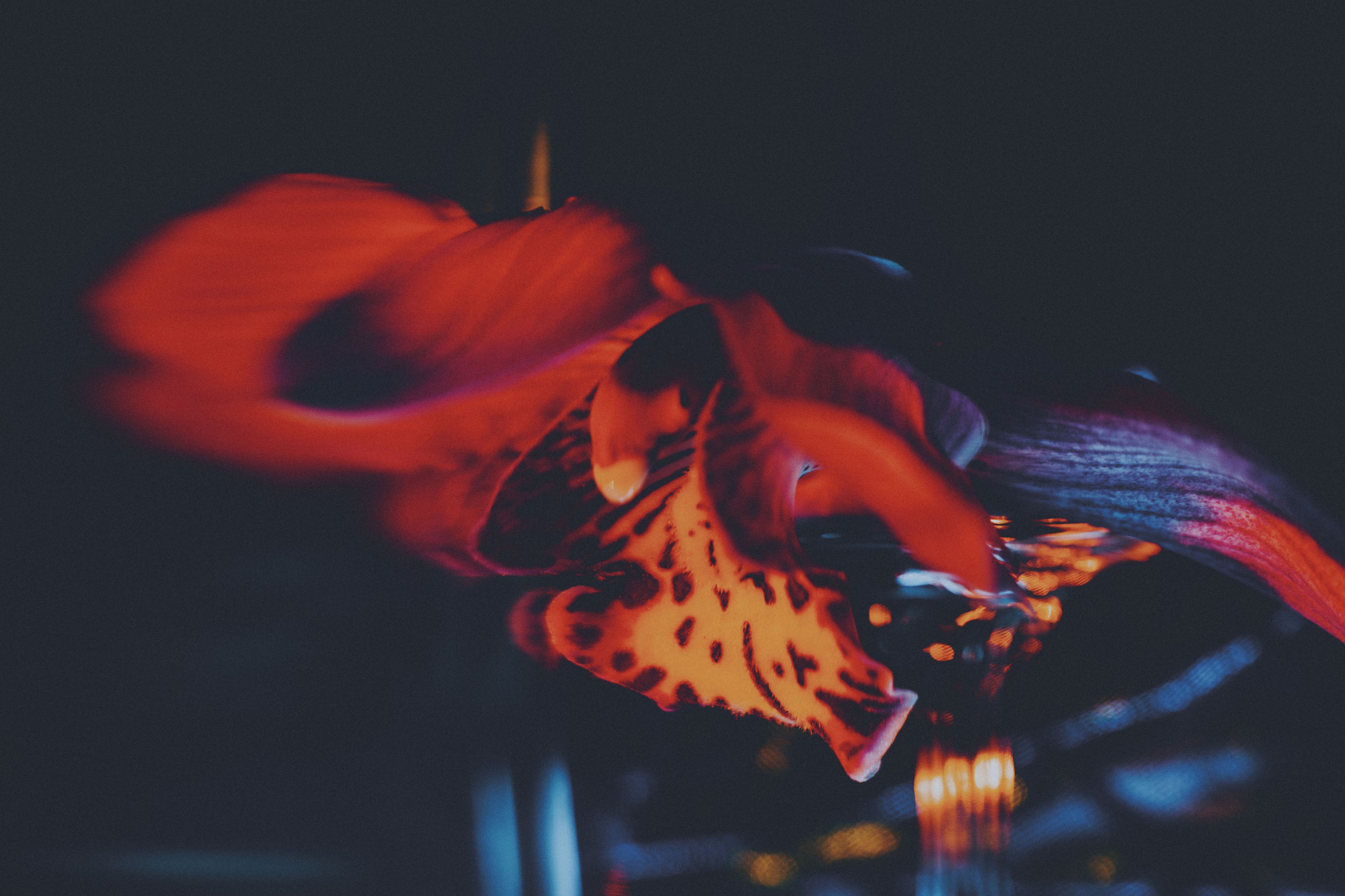 Цветы. Фотограф в Санкт-Петербурге Нелли Краснова