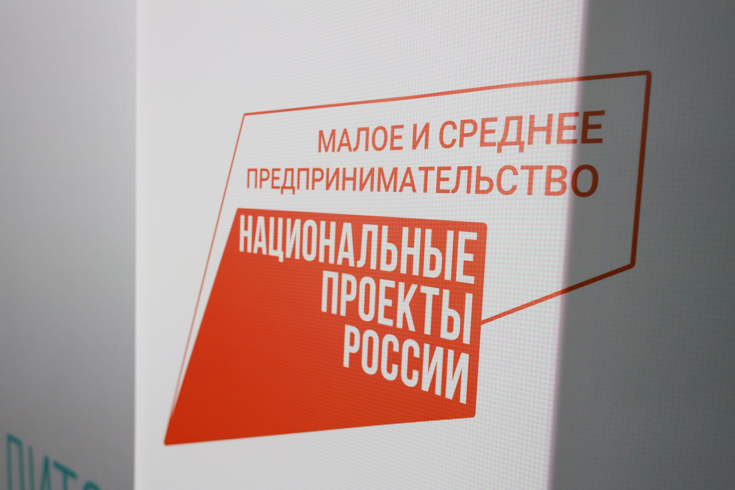 Тренинг для самозанятых. Фотограф Яков Поспехов