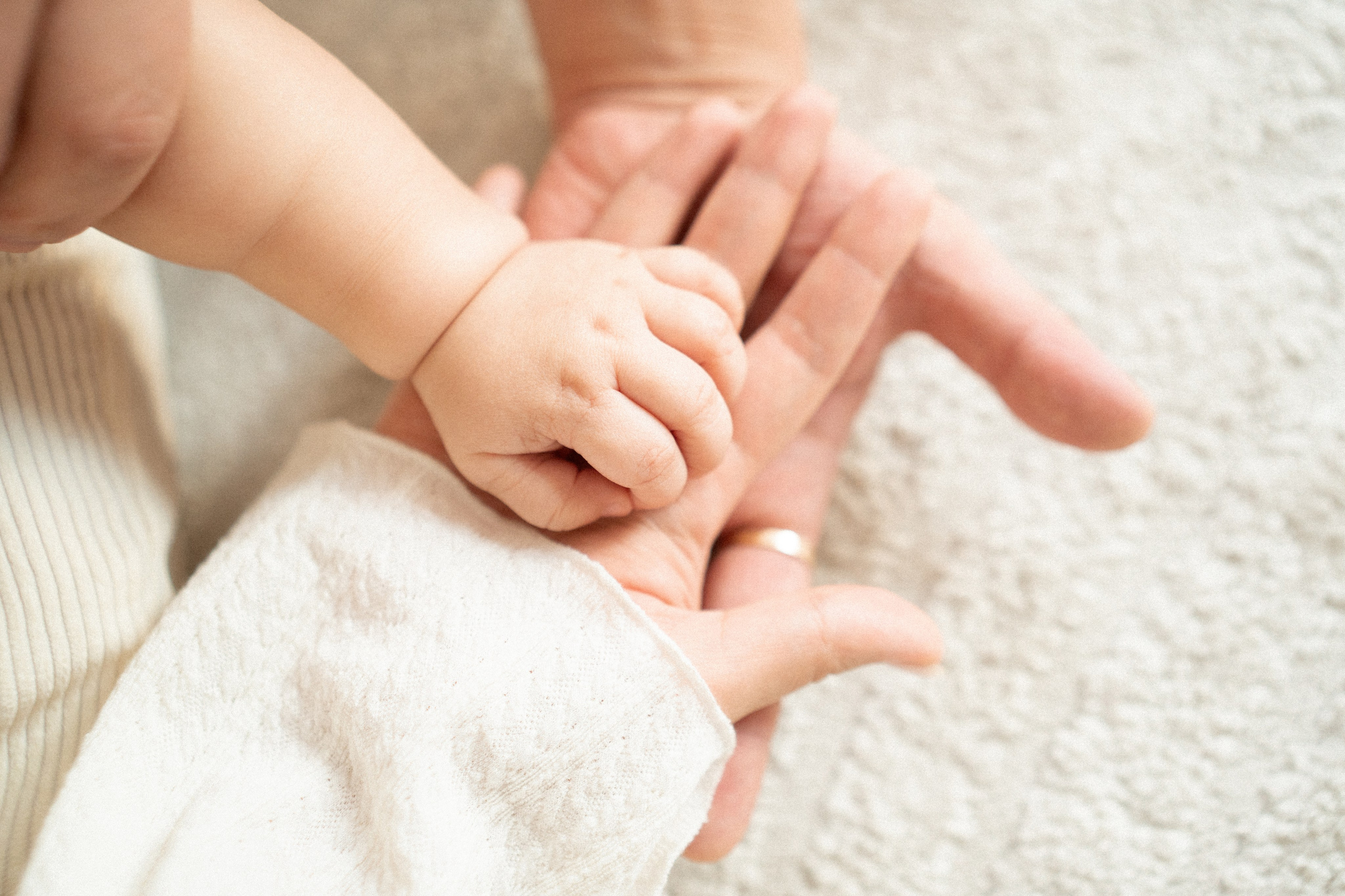 Новый год. Фотограф Москва Татьяна Гайдаржи