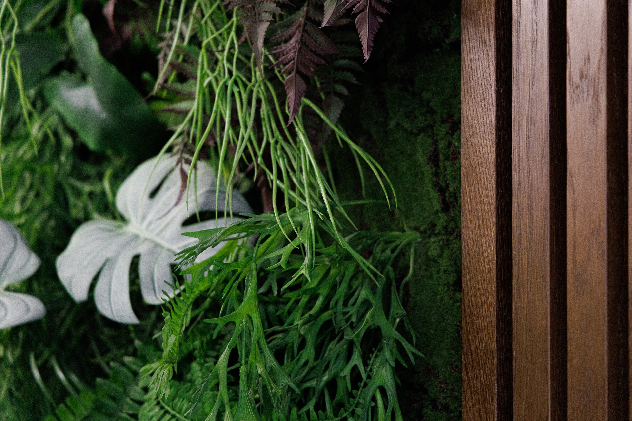 Бизнес-центр «Capital». Интерьерный, предметный фуд-фотограф в Нижнем Новгороде Наталья Латыпова