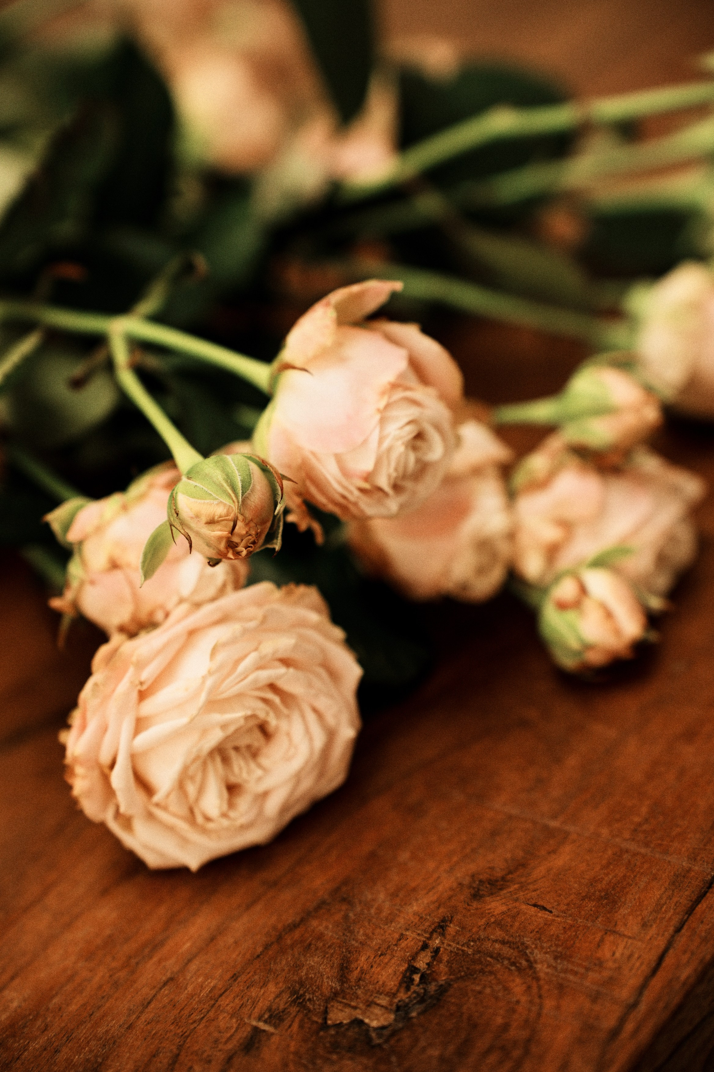 Варвара. Маргарита — фотограф и видеограф / Москва