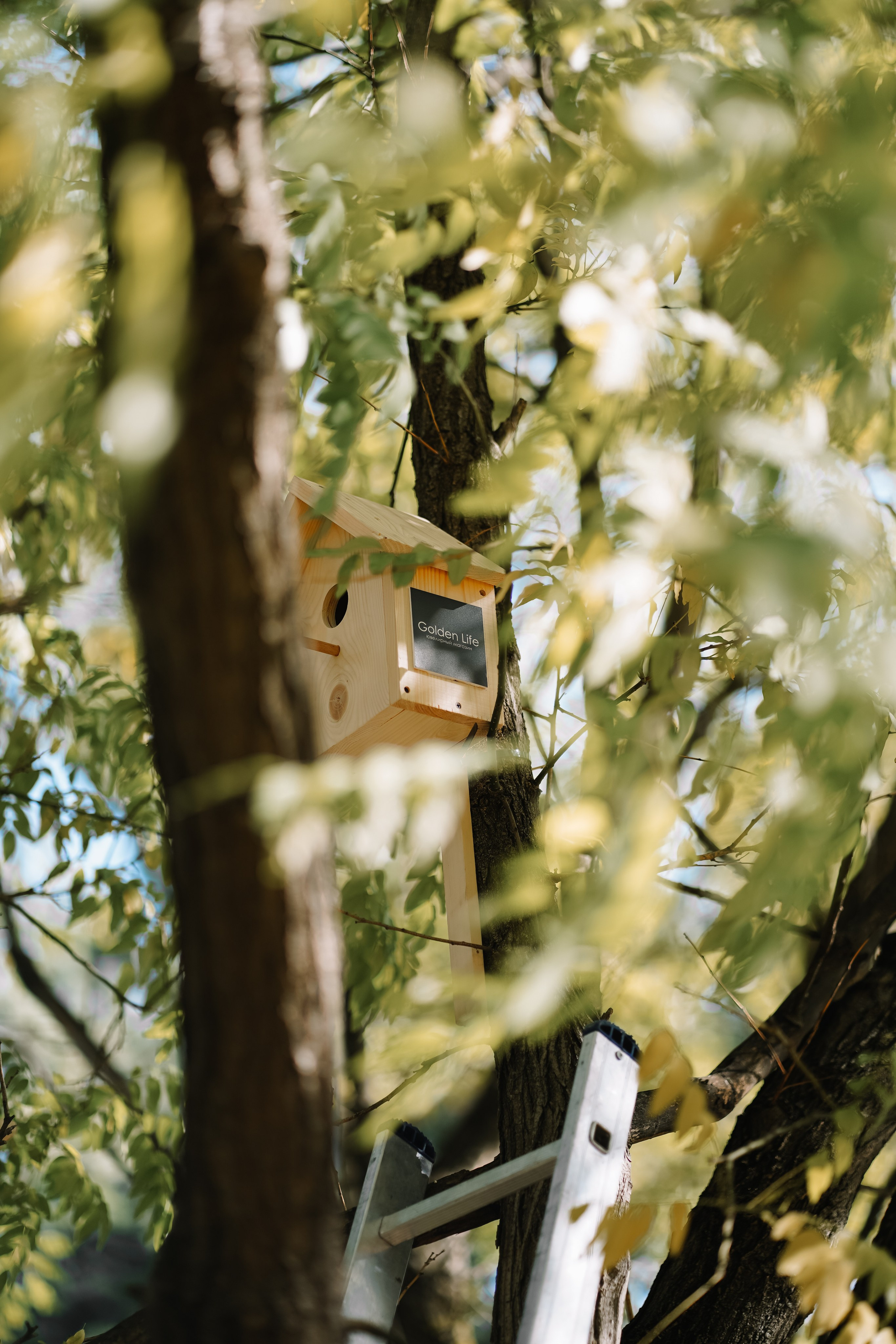 Проект «Добрые дела». Фотограф с психологическим образованием