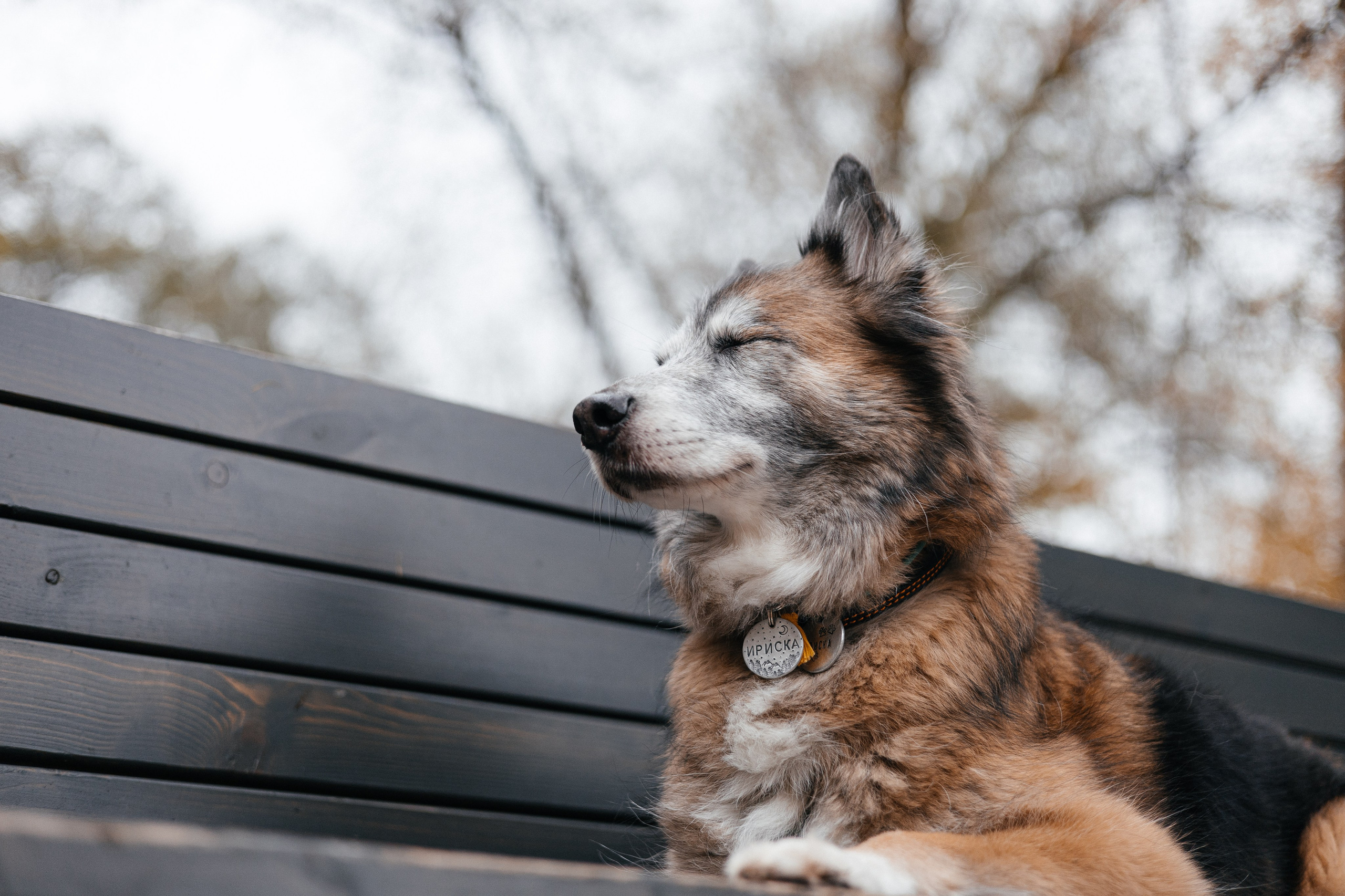 Аня и Ириска. Фотограф Анна Луценко Москва