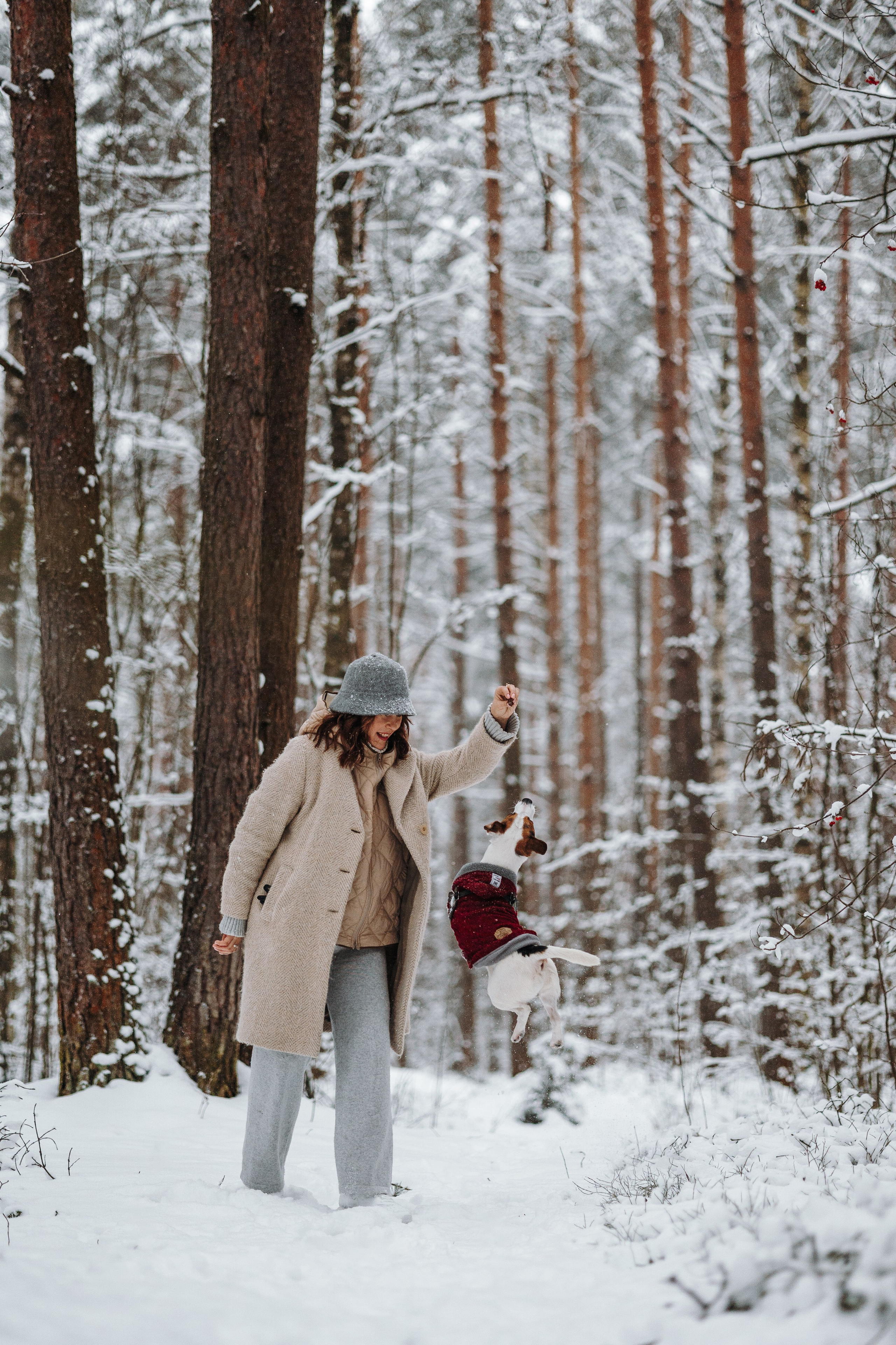 Мики и его семья. Фотограф — Анималист | Санкт-Петербург
