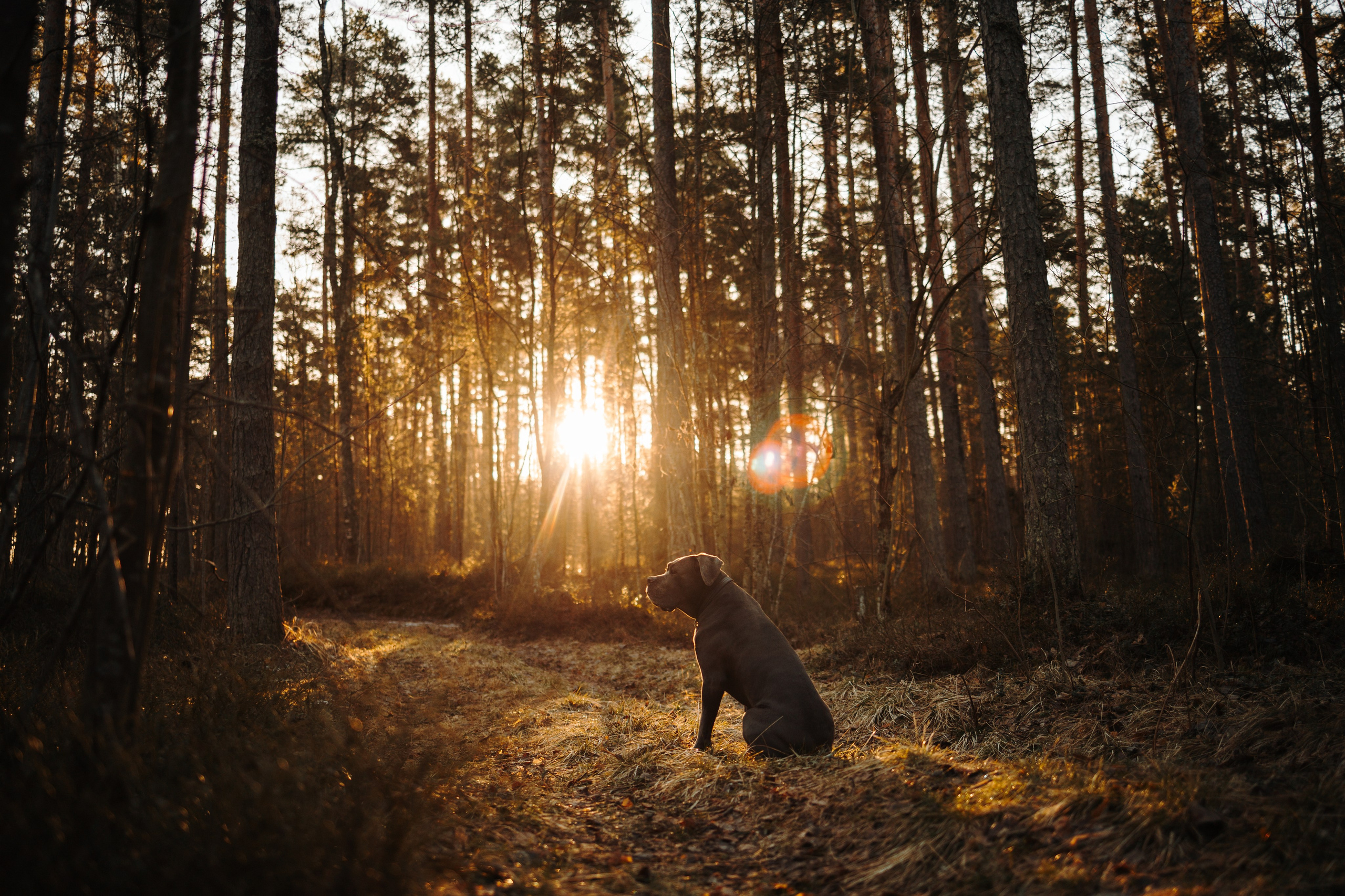 Анна и Лана. Фотограф — Анималист | Санкт-Петербург