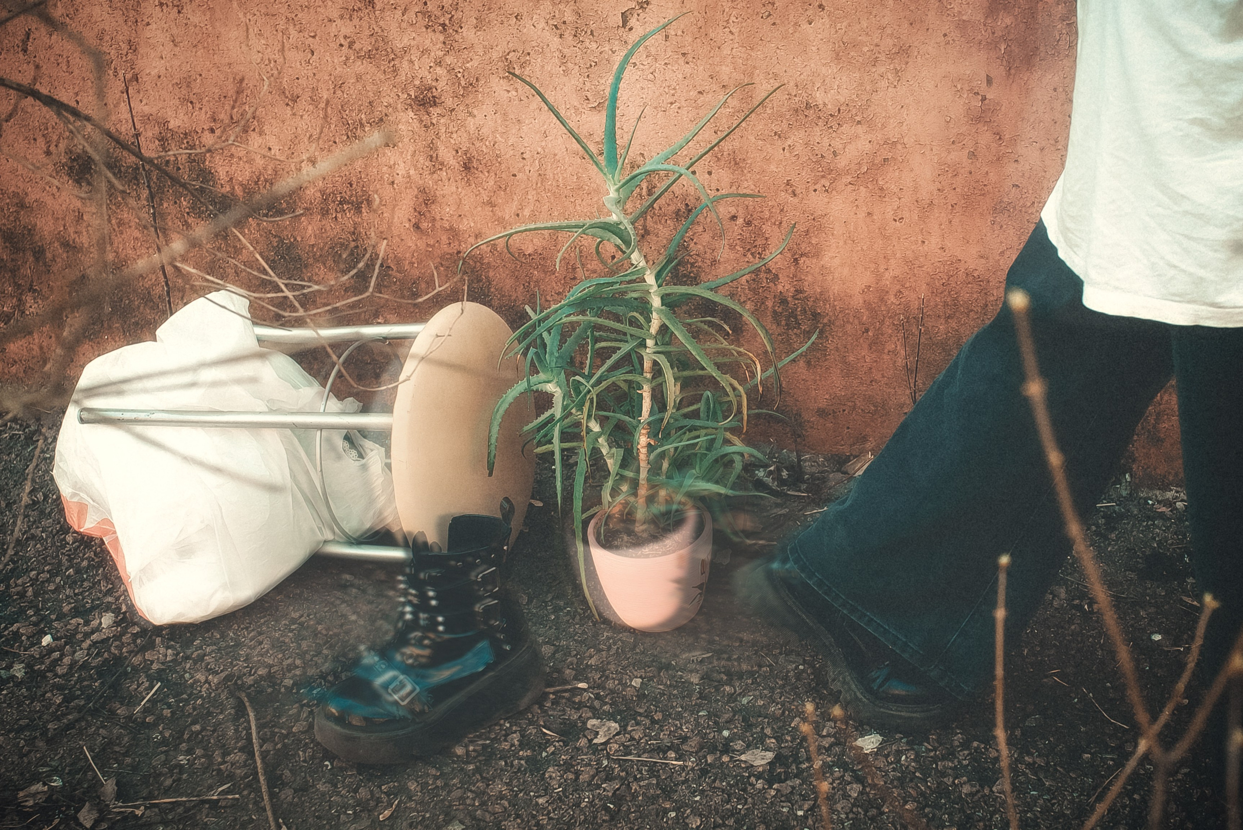 Ограбление по Русски. Женский фотограф Крещение Венчание Москва Брянск