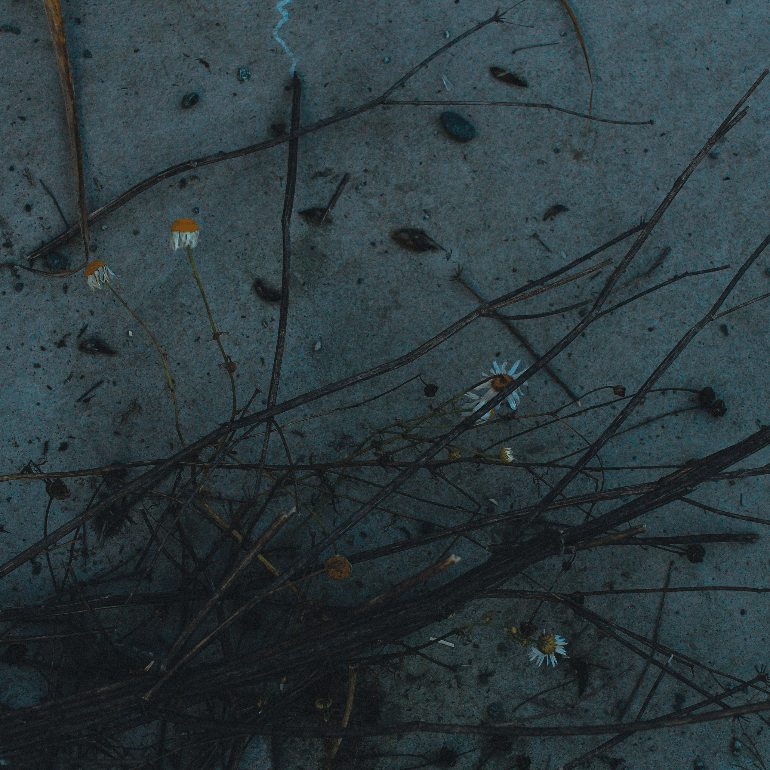 Shades of autumn. Фотограф/дизайнер в Екатеринбурге Хитрый Дмитрий