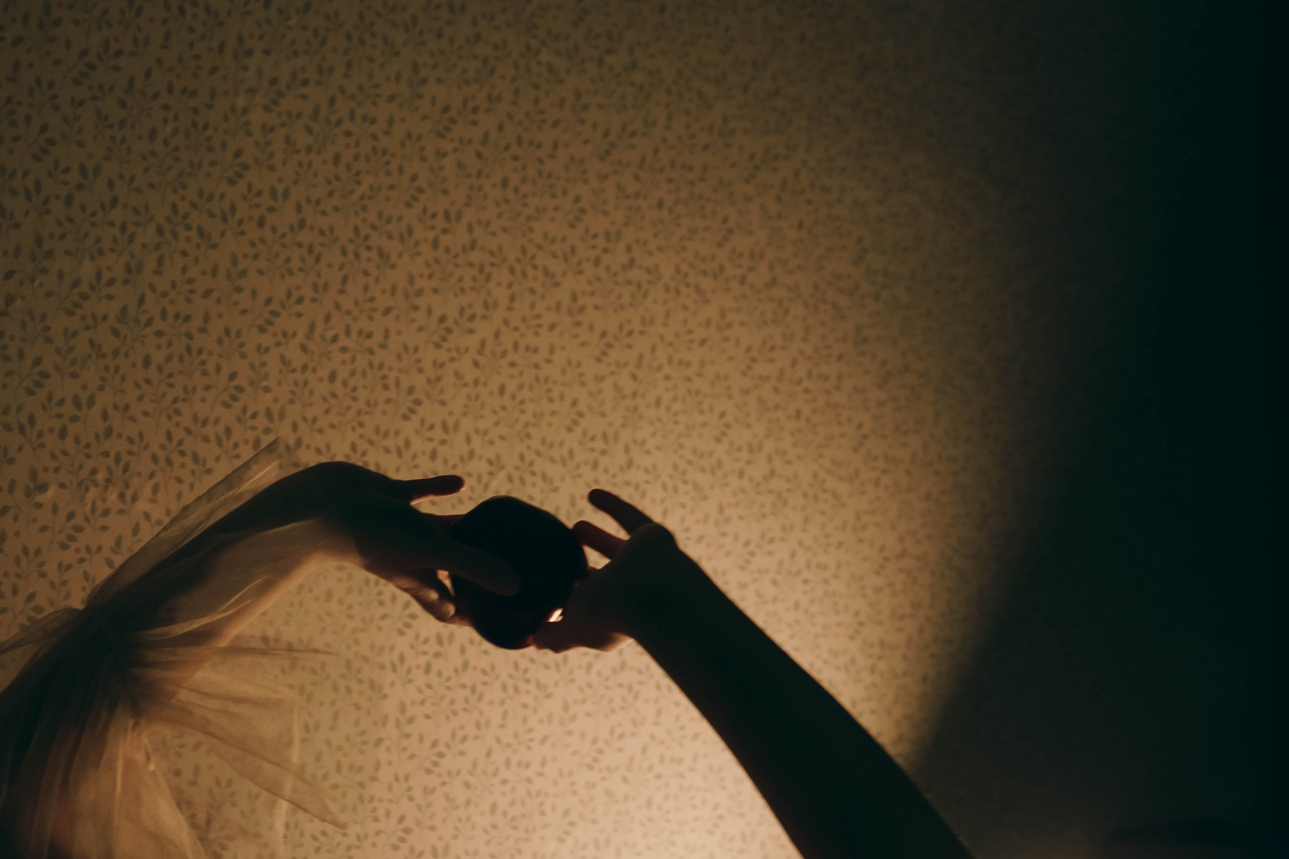 Милена. Фотограф-анималист Ксения Воробьева, Москва