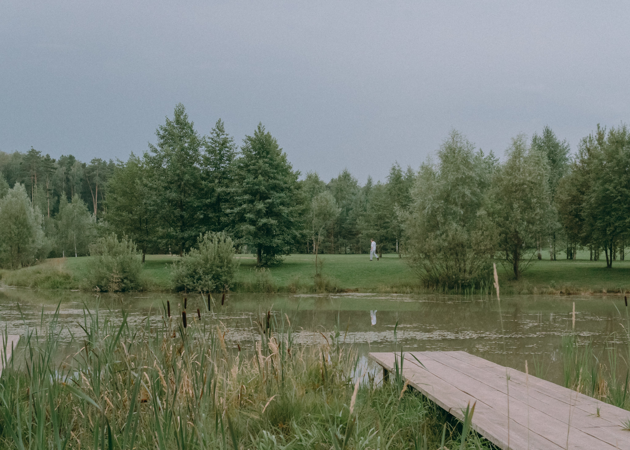 Виолетта, Лила и Питер. Фотограф-анималист Ксения Воробьева, Москва