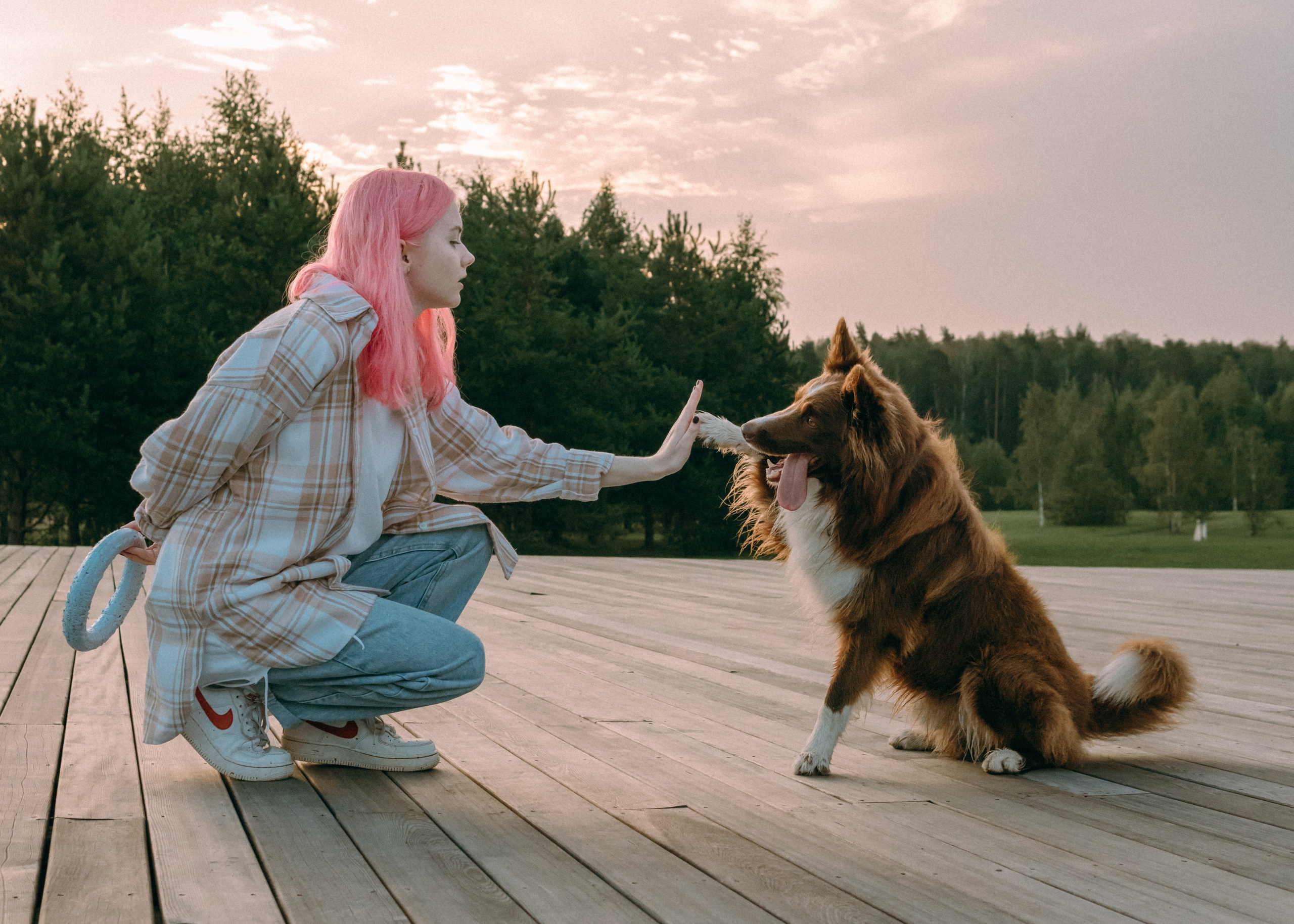 Виолетта, Лила и Питер. Фотограф-анималист Ксения Воробьева, Москва