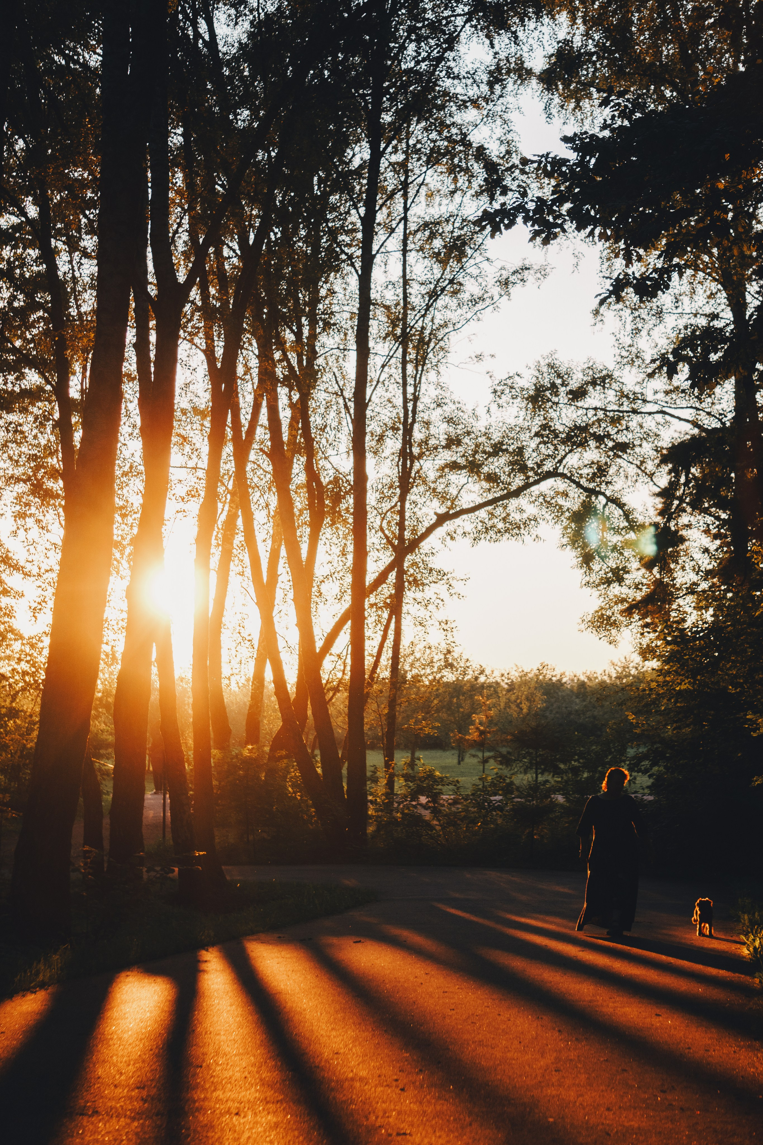 Катя и Яшма. Фотограф-анималист Ксения Воробьева, Москва