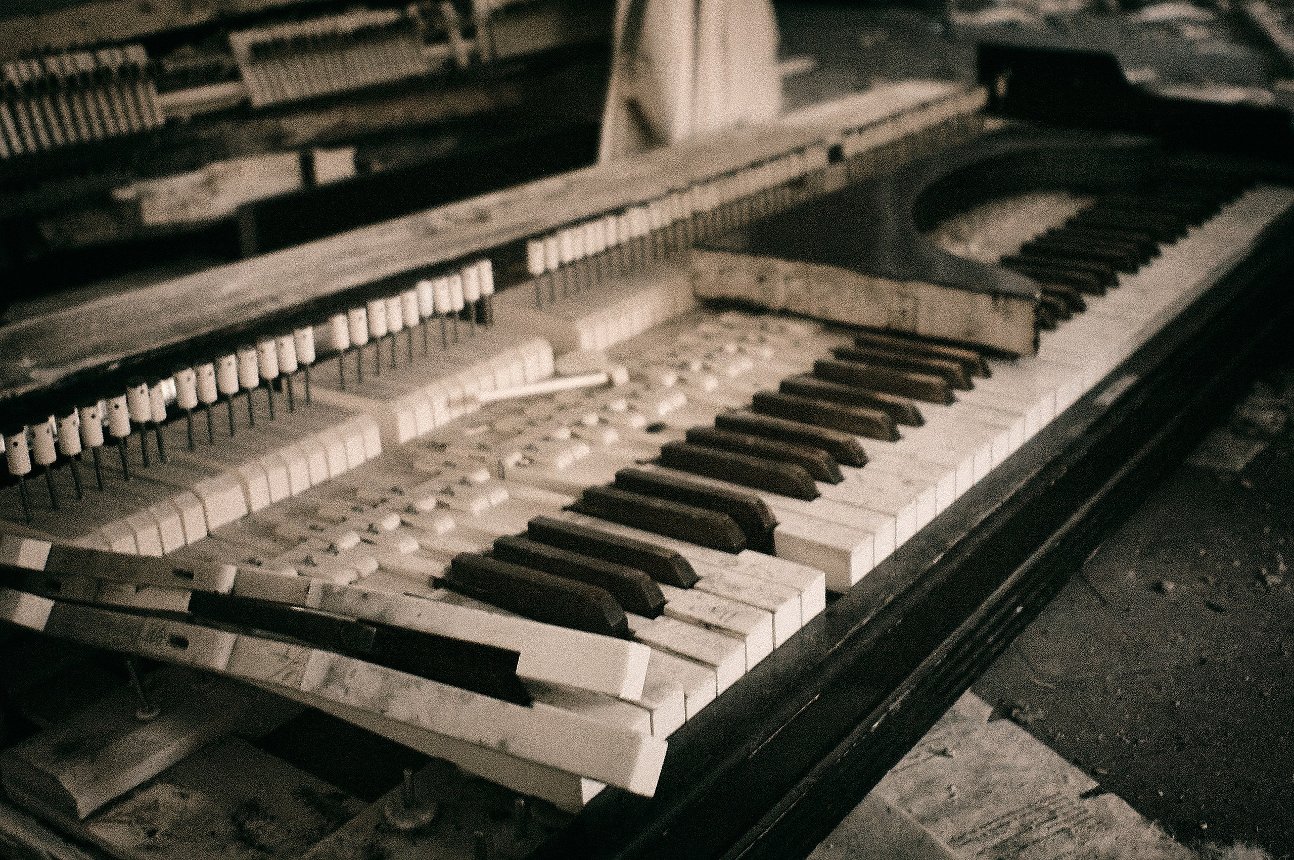 Infrared Photography. Solofilms