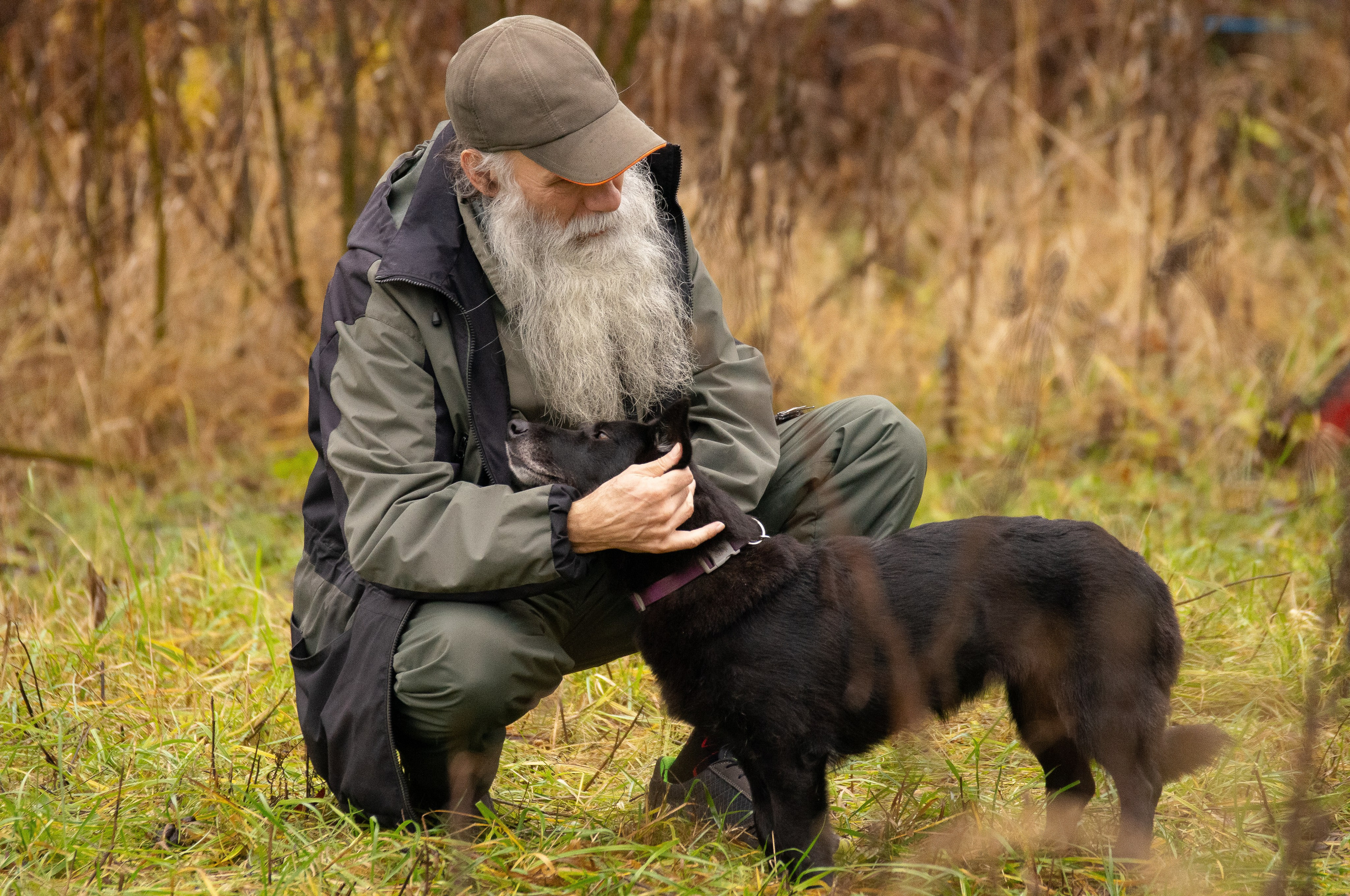 Репортажная съемка. Фотограф-анималист Нижний Новгород