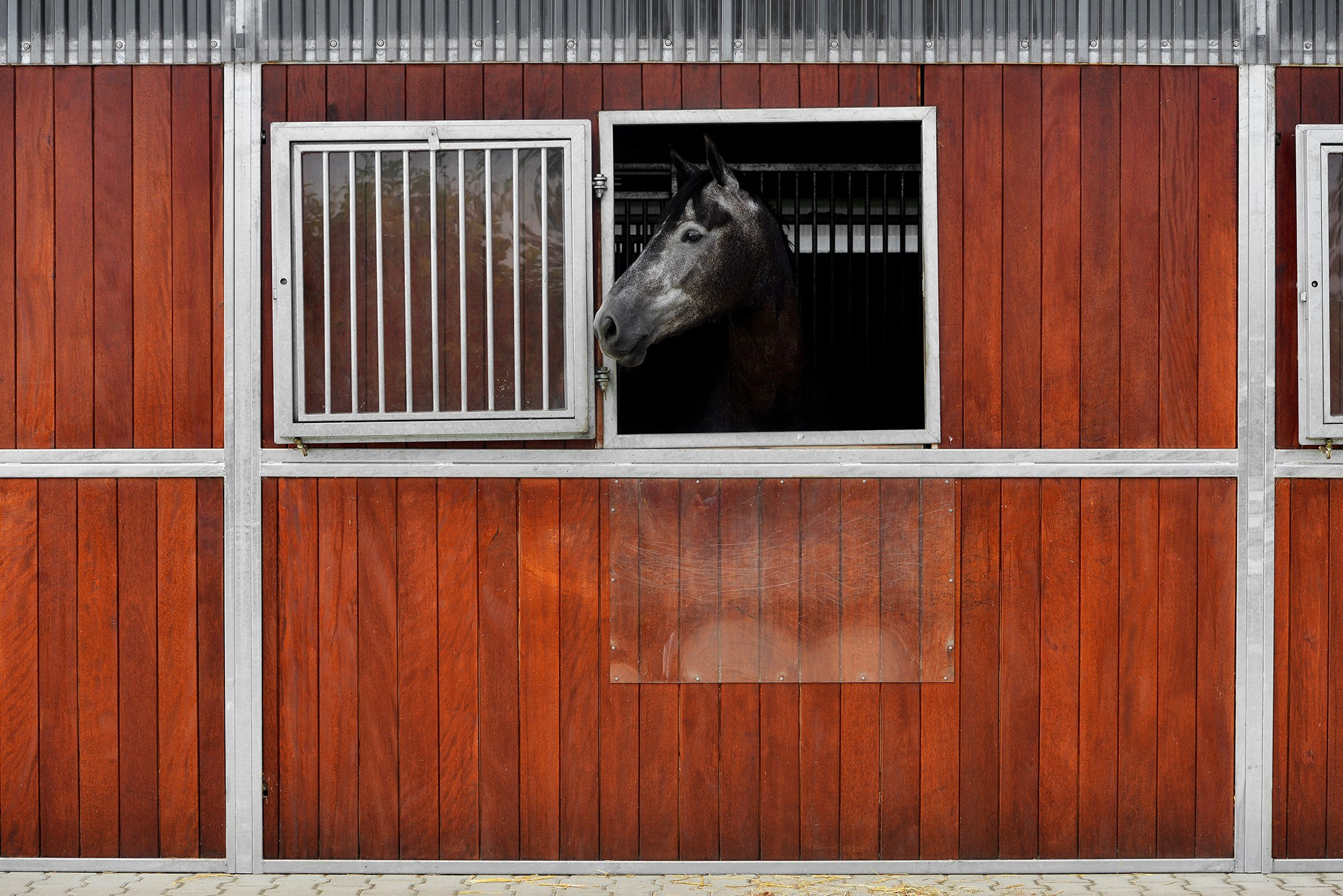 ЕС. Конный фотограф Alesya Safe