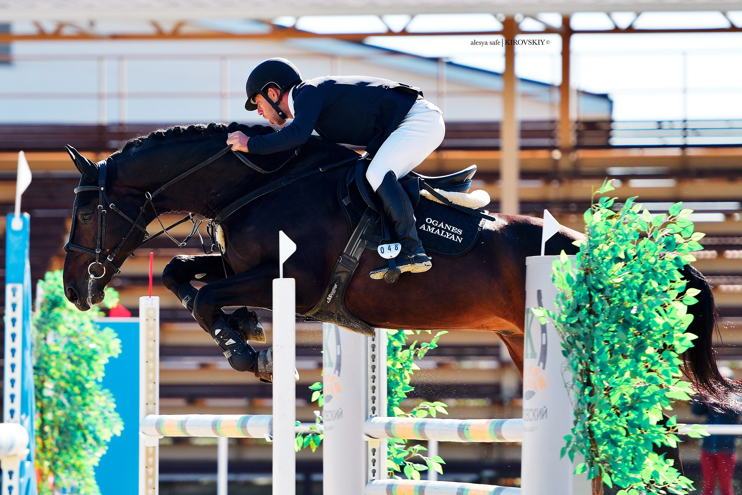 Кировский конный завод. Конный фотограф Alesya Safe