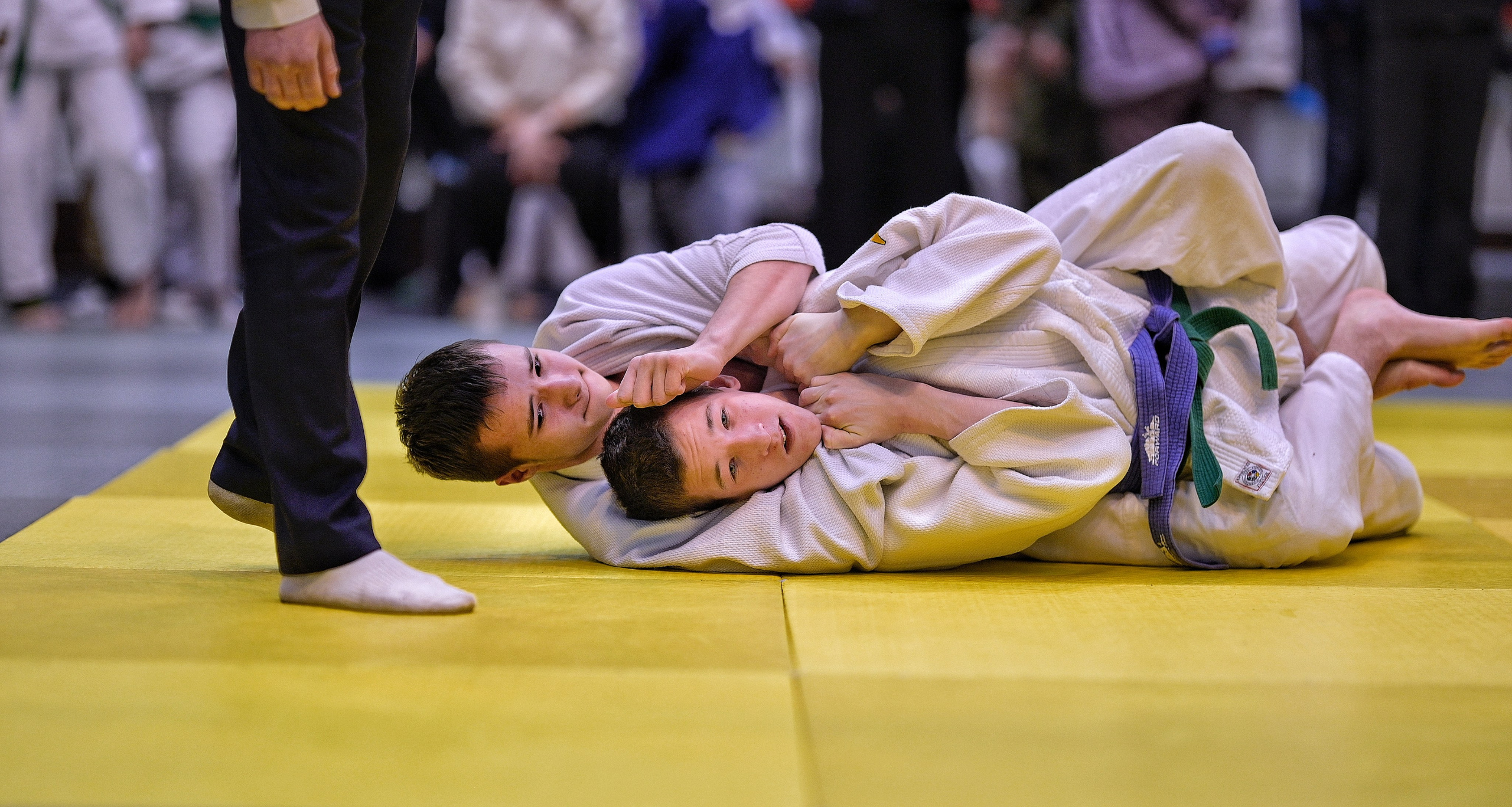 Турнир по дзюдо памяти Андрея Завьялкина. Фотограф Ваших событий 📸