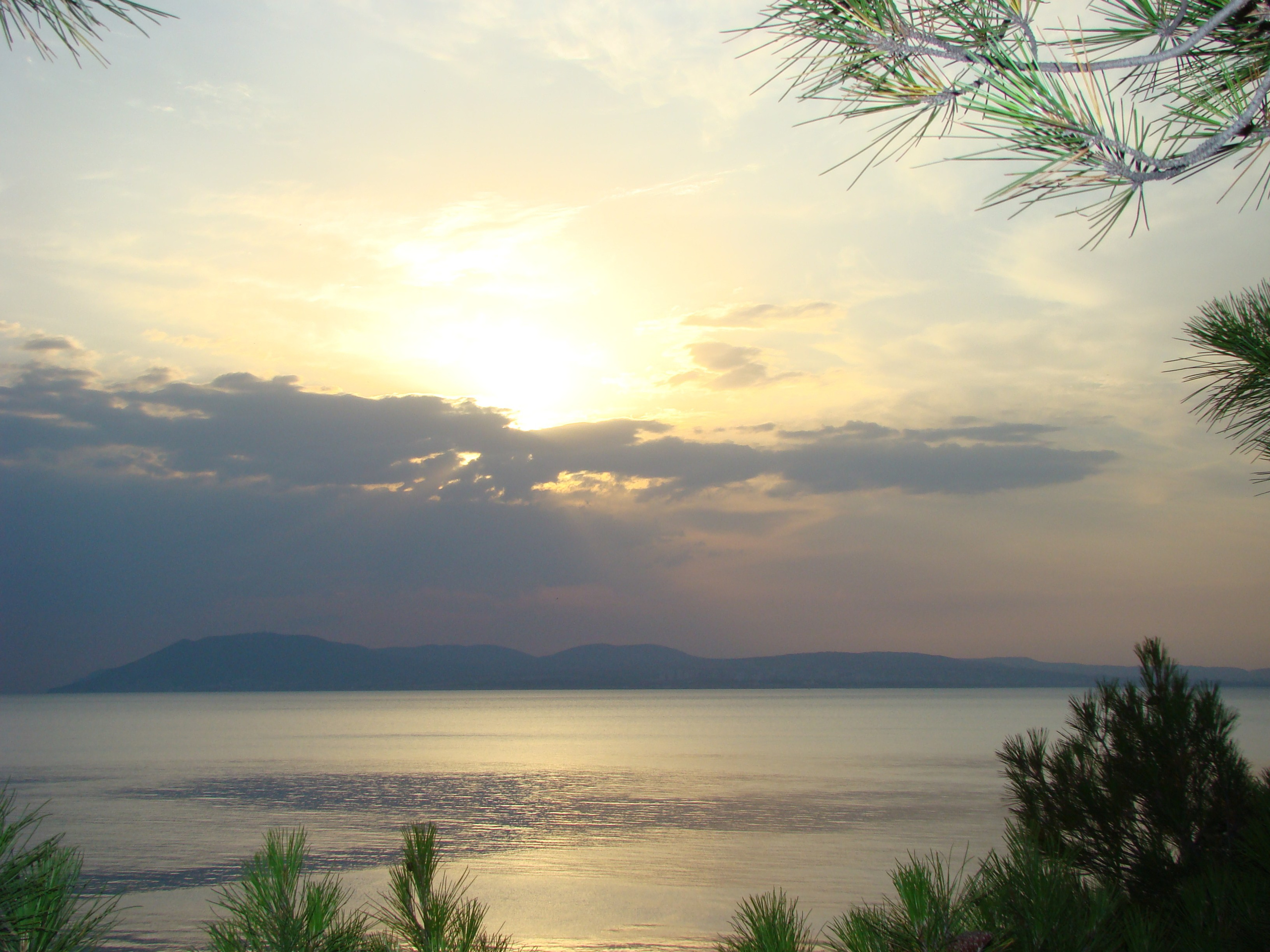 Кабардинка (фото Зевиных) 25.06-24.07.2008. Семейный, Свадебный фотограф СПБ Питер— Романова Екатерина