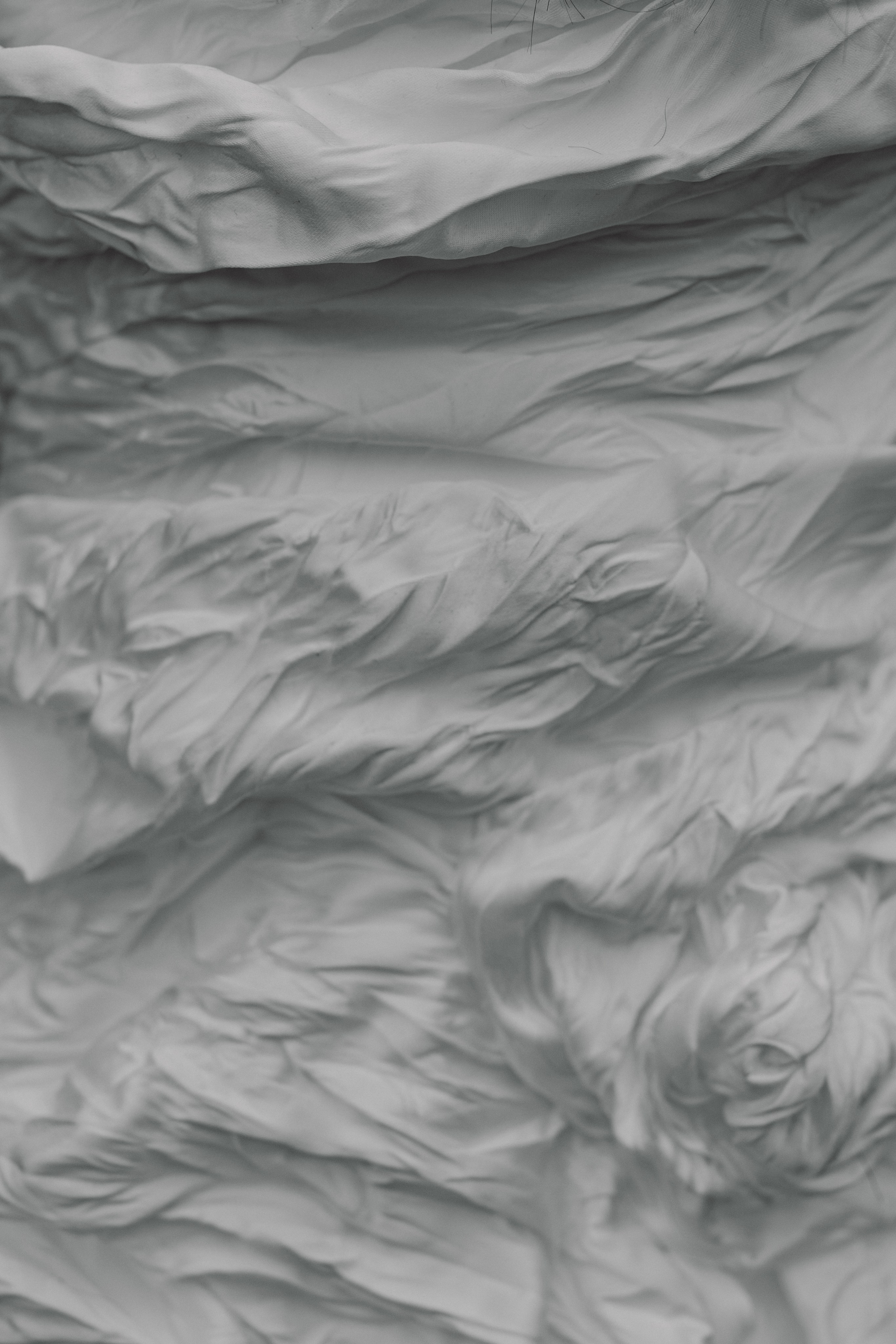 @dariazphoto свадебный фотограф