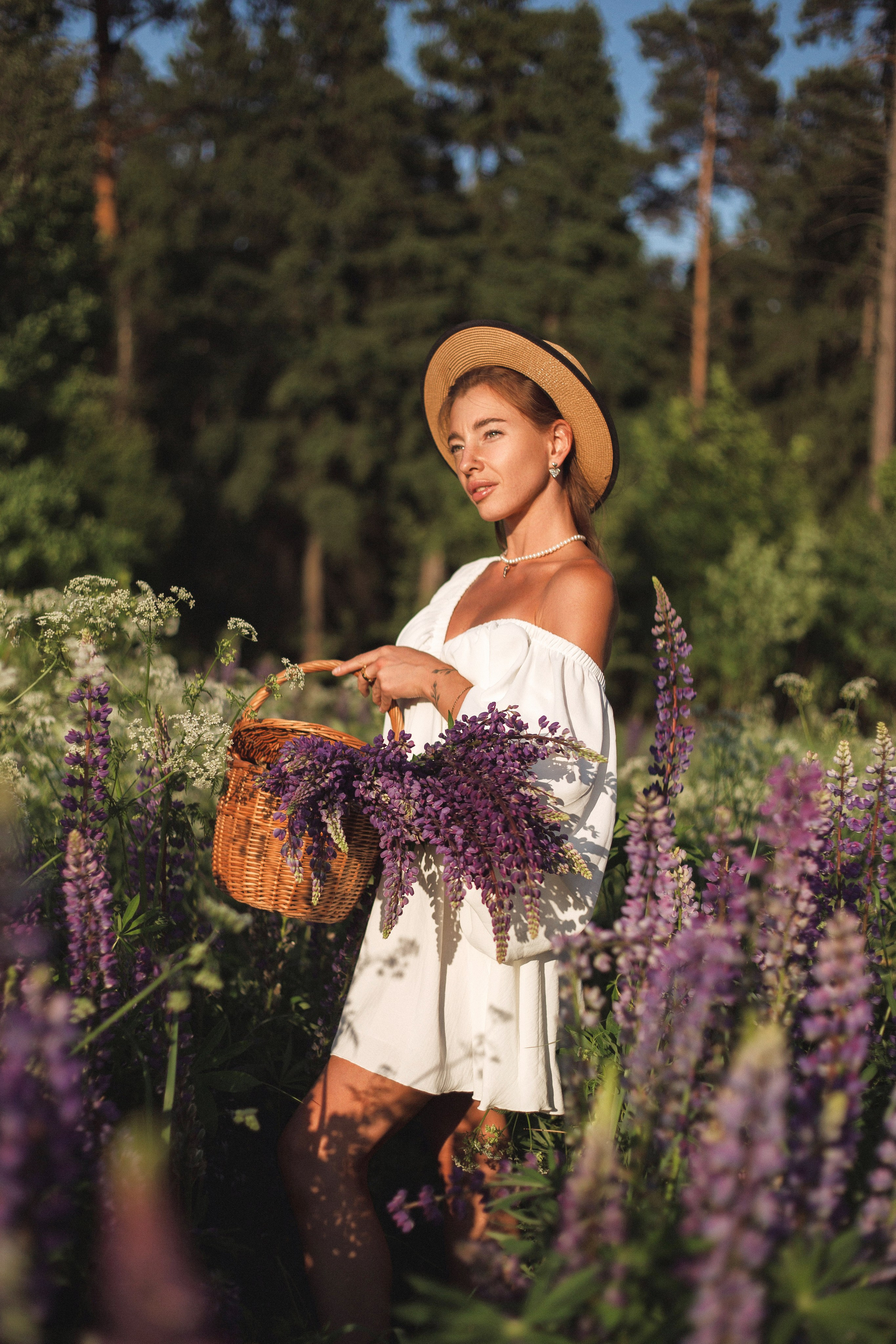 Люпины. Фотограф Москва / Балашиха