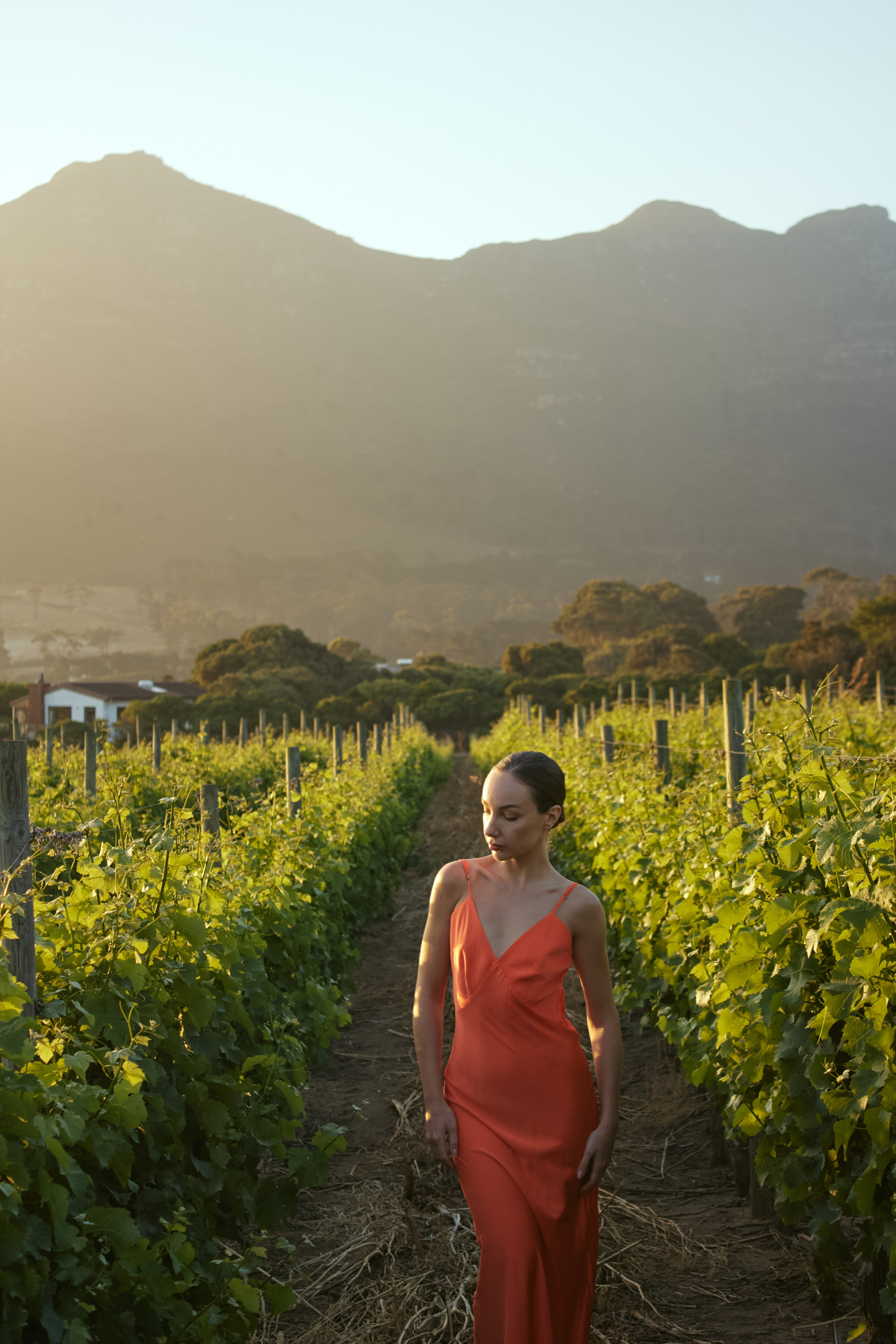 ЮАР. Профессиональный Фотограф во Владимире, в Москве и в Суздале — Полина Романычева