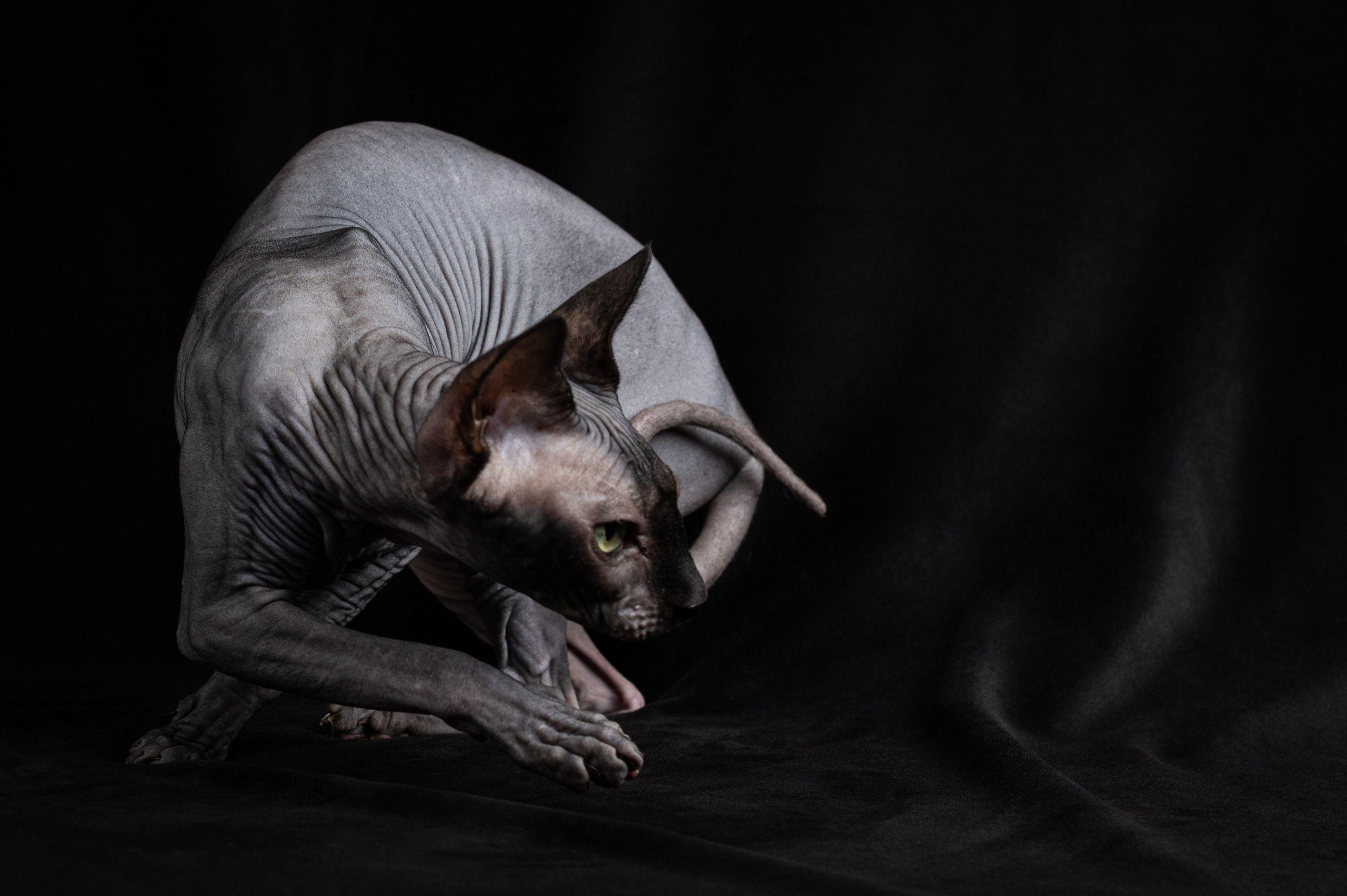 Alexandrovna photography
