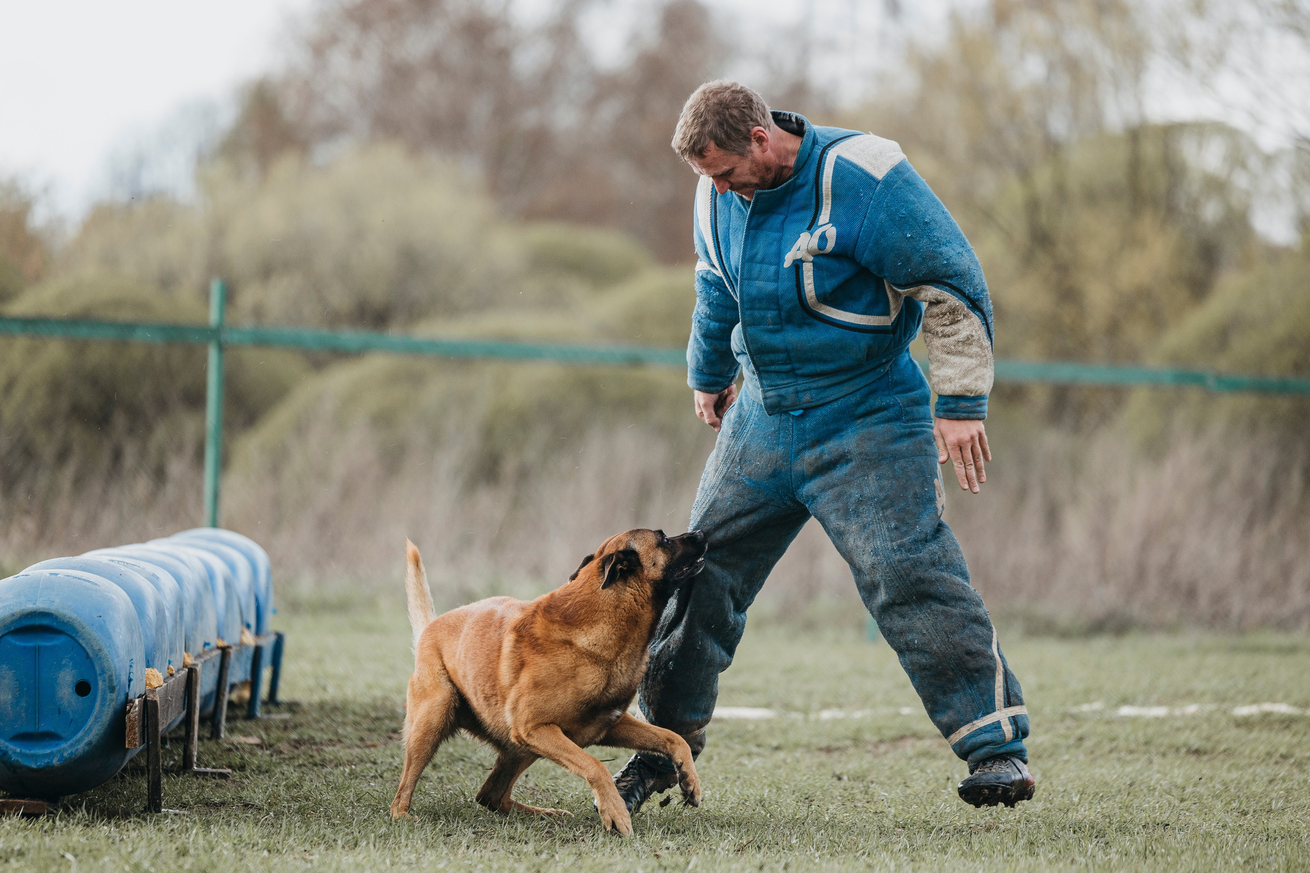 09.05.25 Вологда соревнования. Фотограф-анималист Анна Маринич