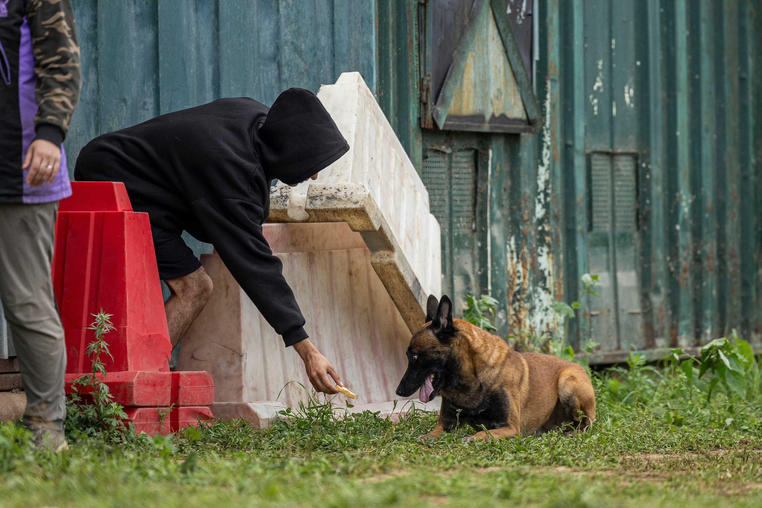 Соревнования по Мондьорингу г. Вологда 10-11.08.2024. Фотограф-анималист Анна Маринич
