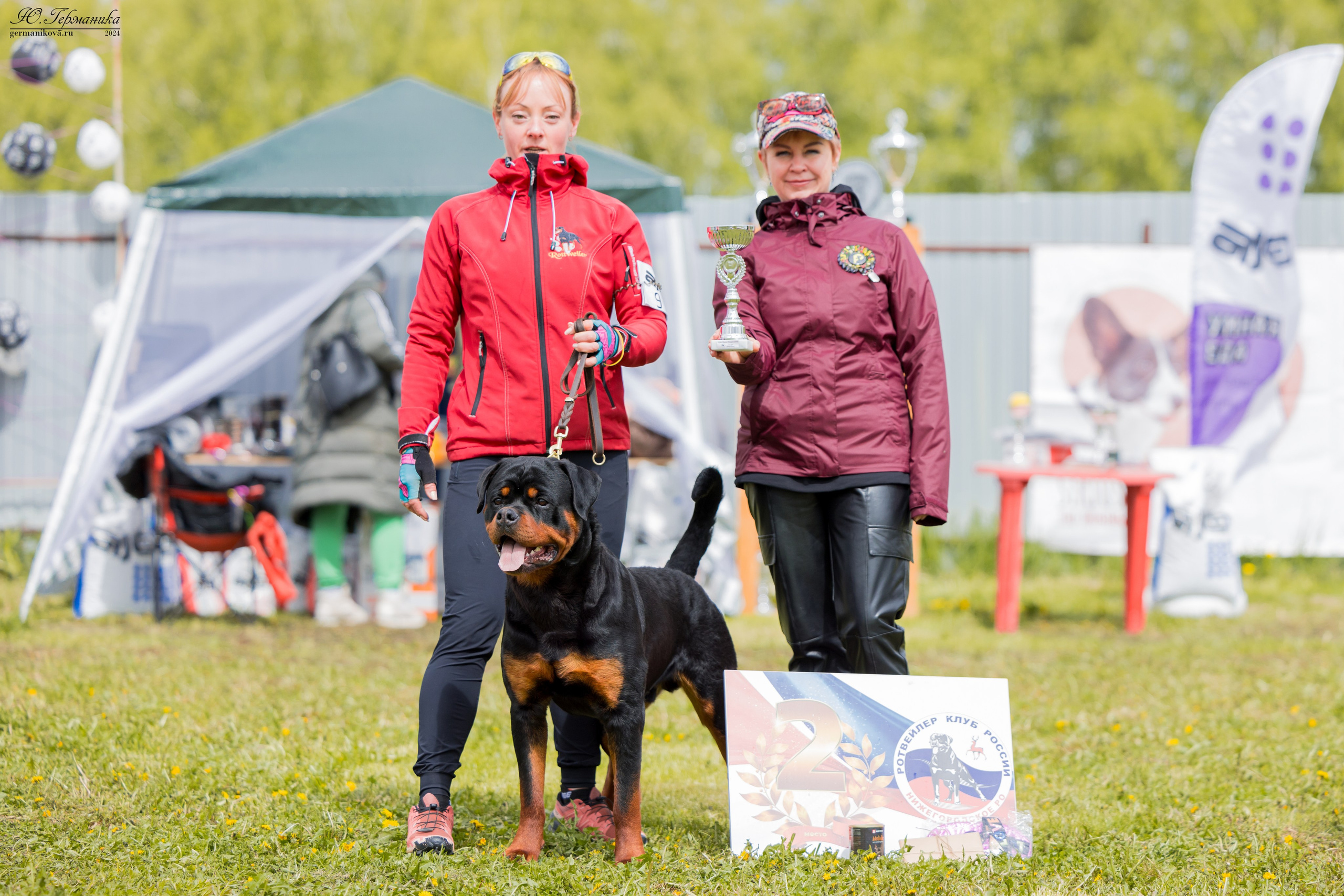 Нижний Новгород 11-12.05.2024 моно ротвейлеров. Фотограф-анималист Юлия Германика