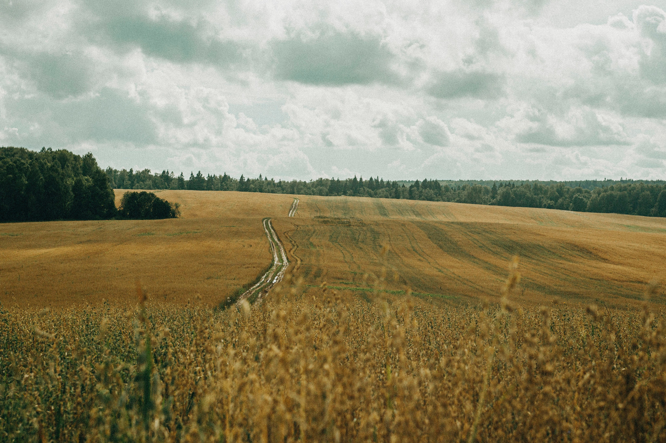 Поход. Ваш портретный фотограф в Москве Катя Прокофьева