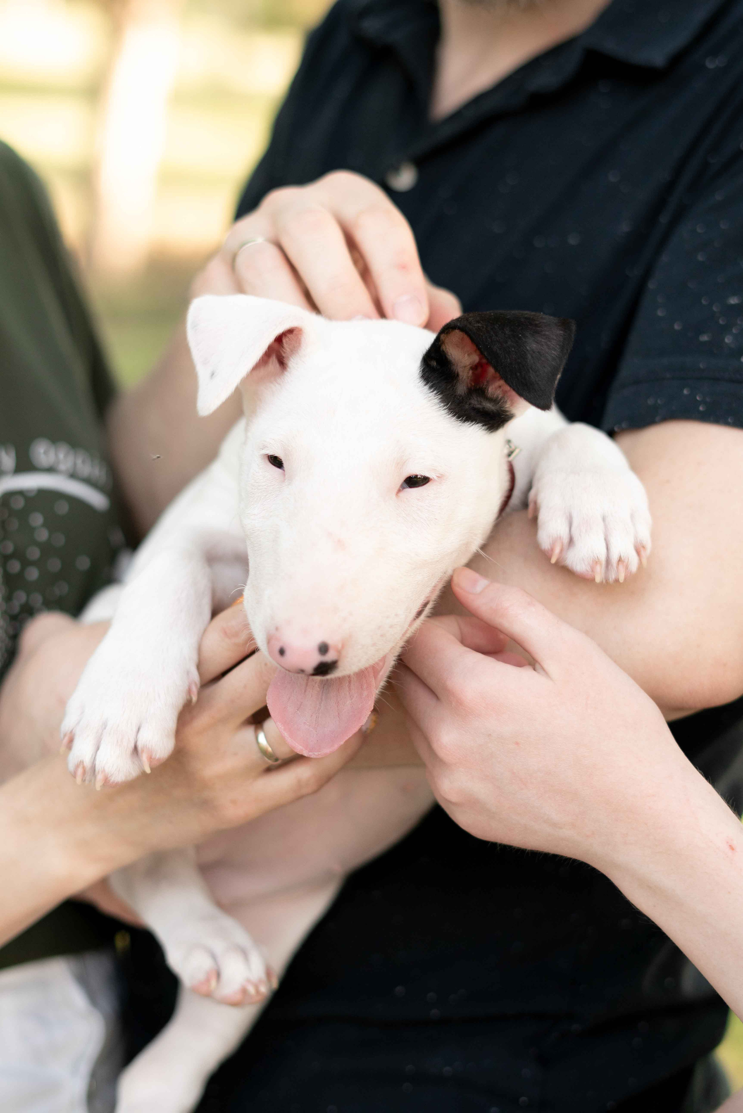 С малышом. Семейный и свадебный фотограф Адыгея Краснодар