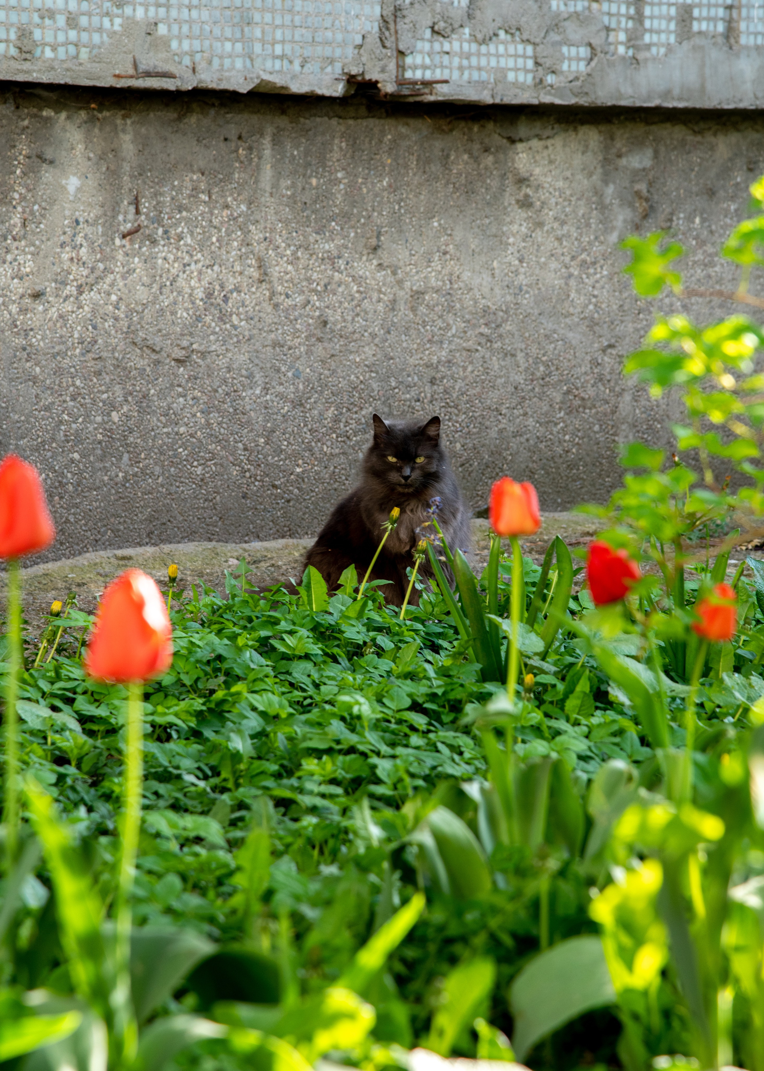 Калининград, Светлогорск. Фотограф Юлия Зимина
