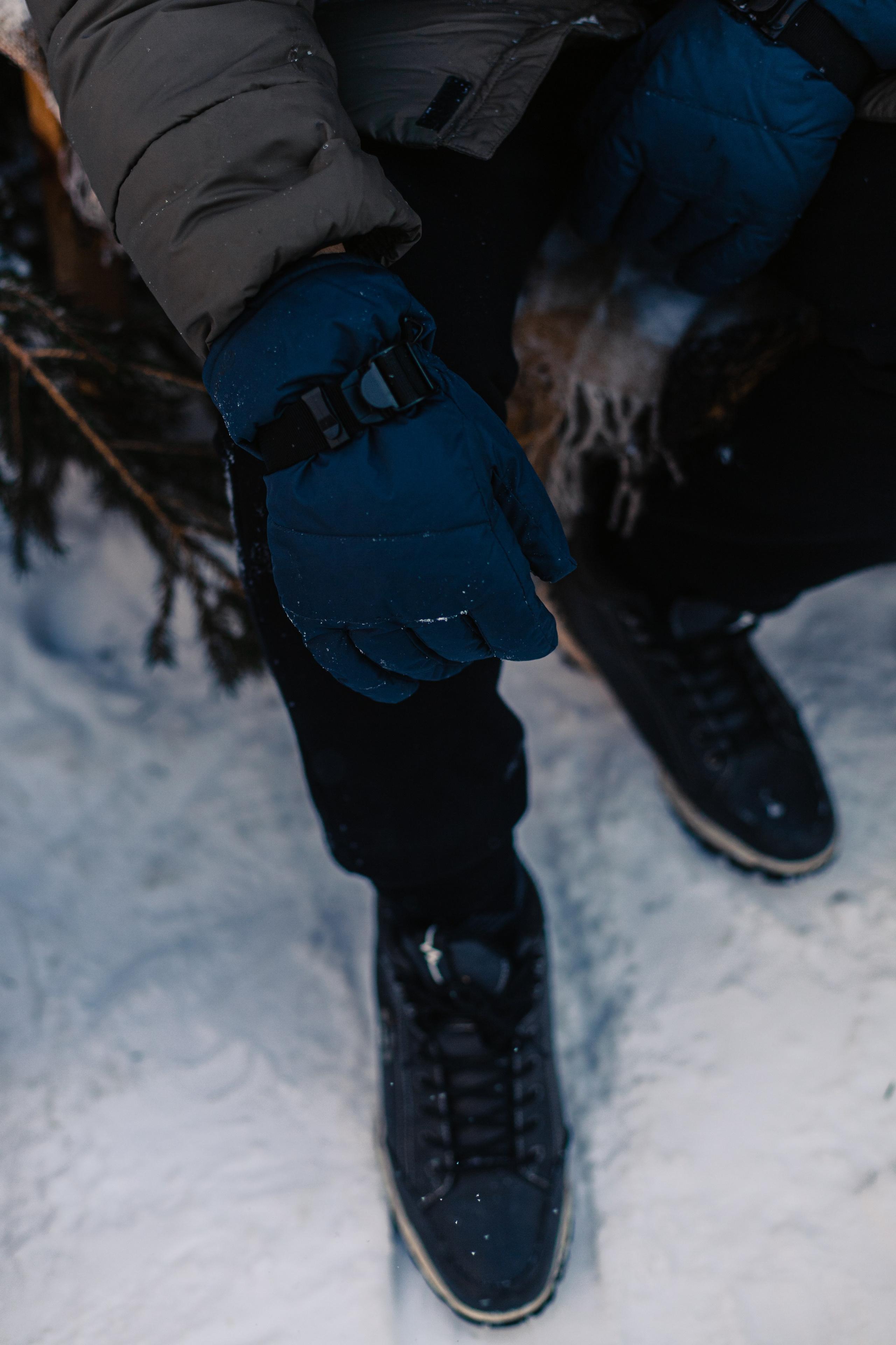 Зингер дача. Фотограф-анималист Татьяна Степанова