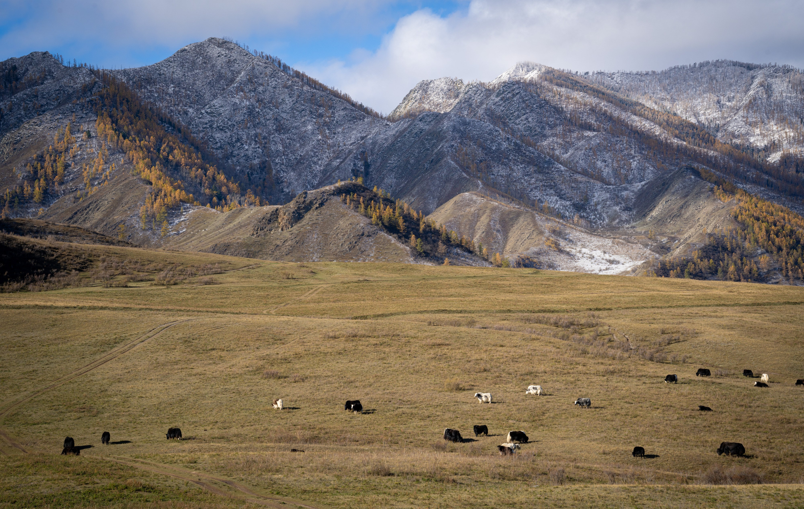Чуйский тракт. Фотографии Тиграна Худавердяна