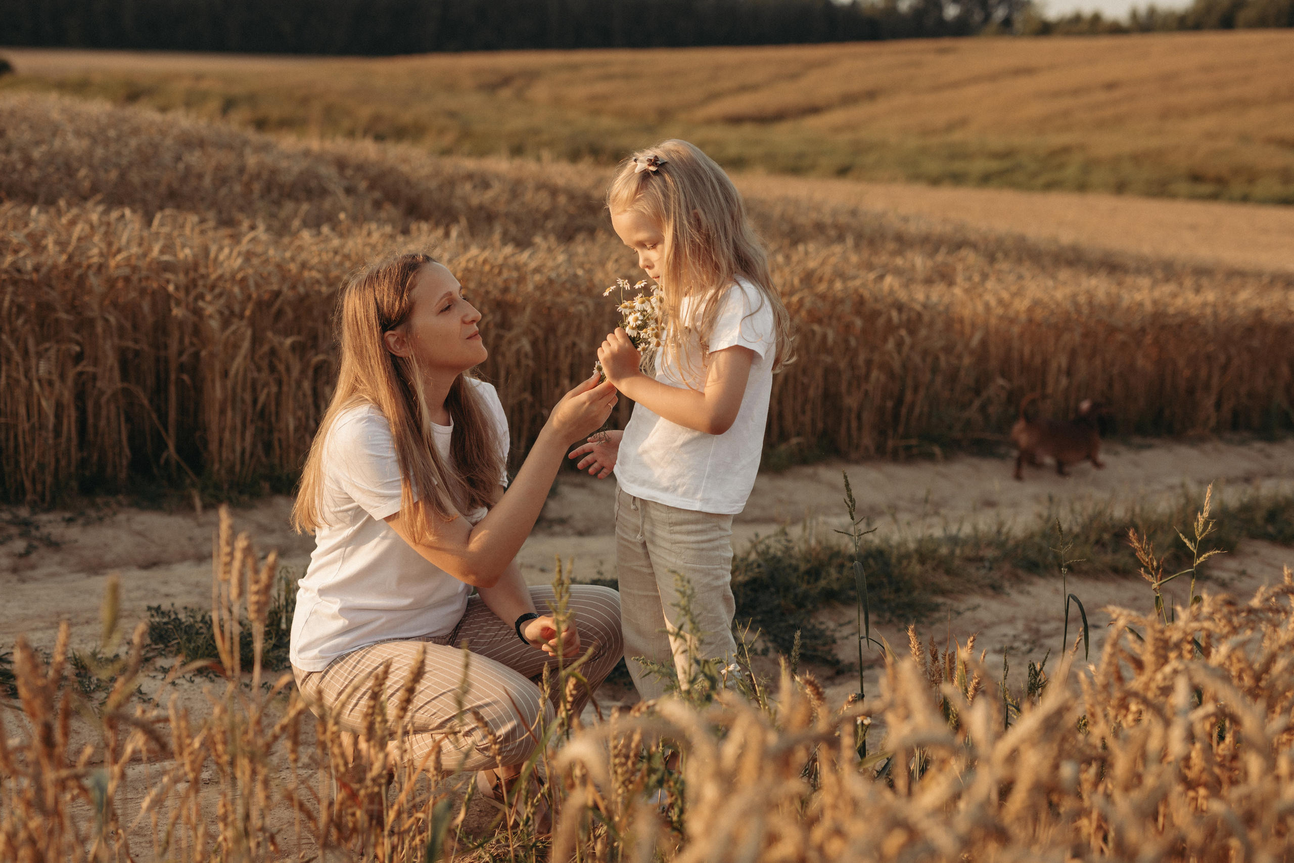 Обо мне. Семейный фотограф Земскова Евгения