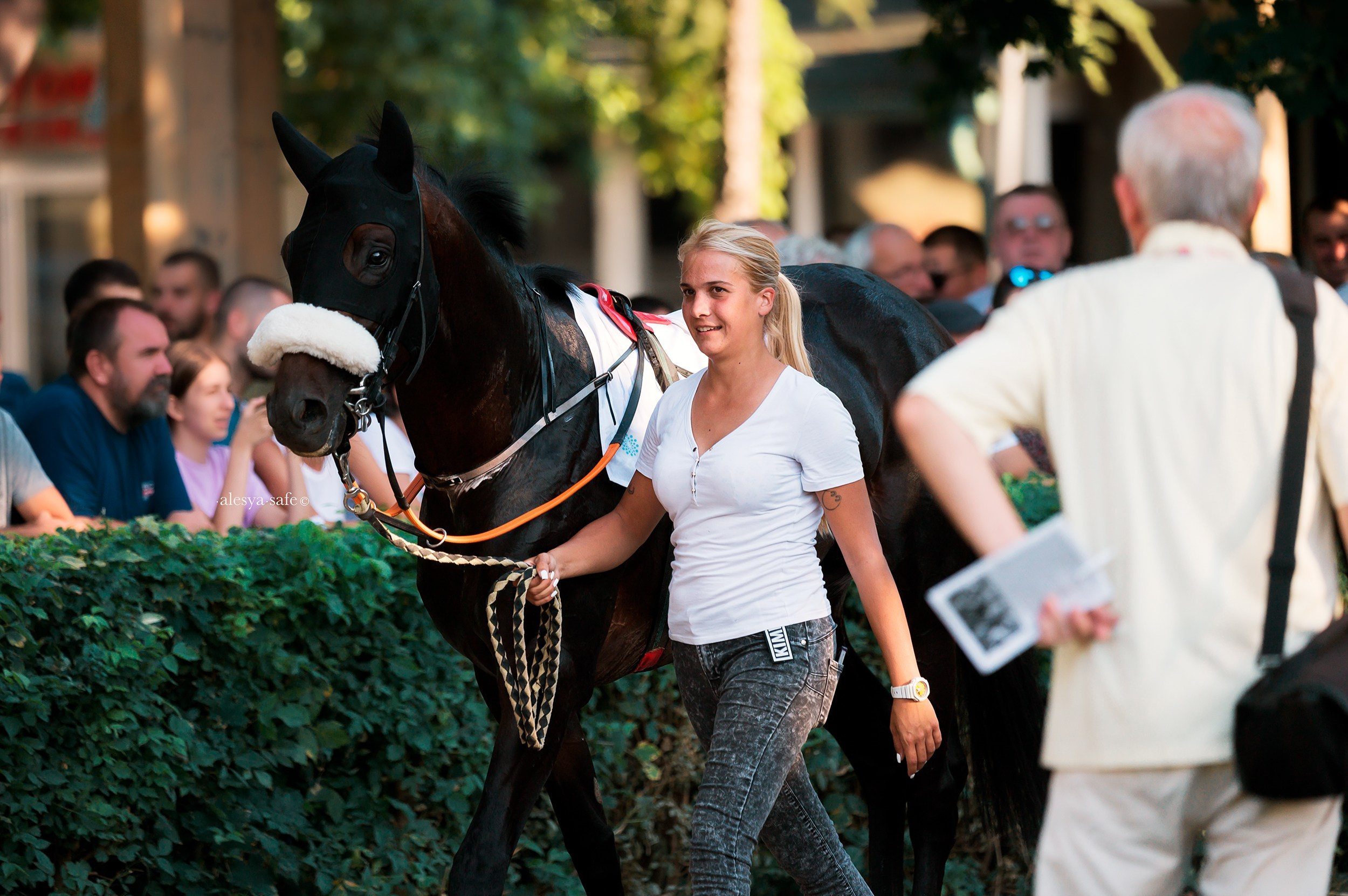 Скачки. Конный фотограф Alesya Safe