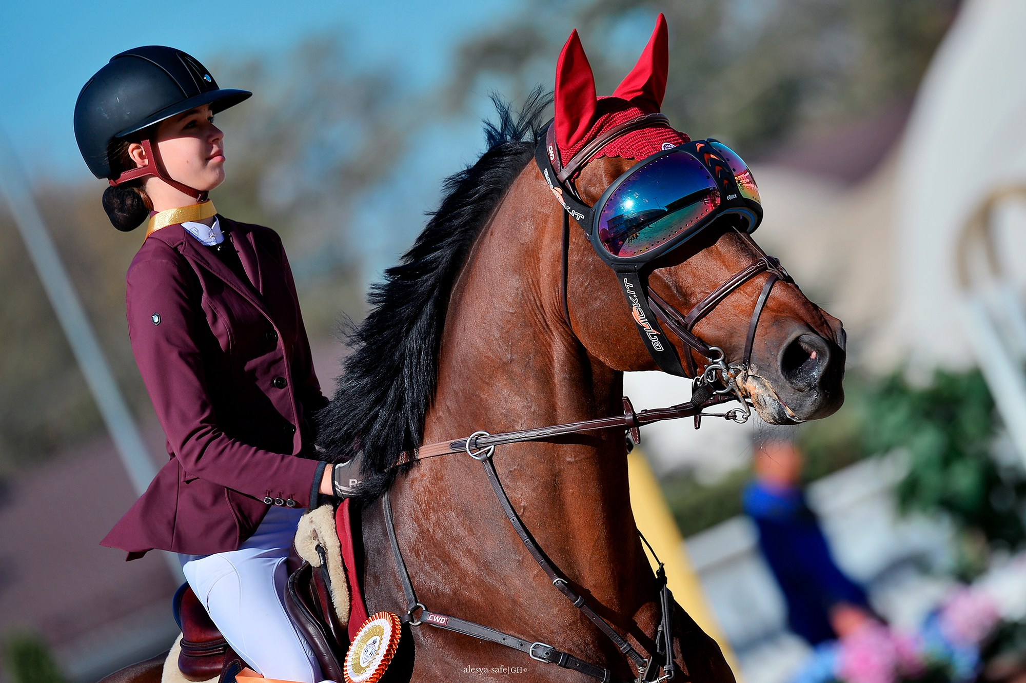Голден. Конный фотограф Alesya Safe