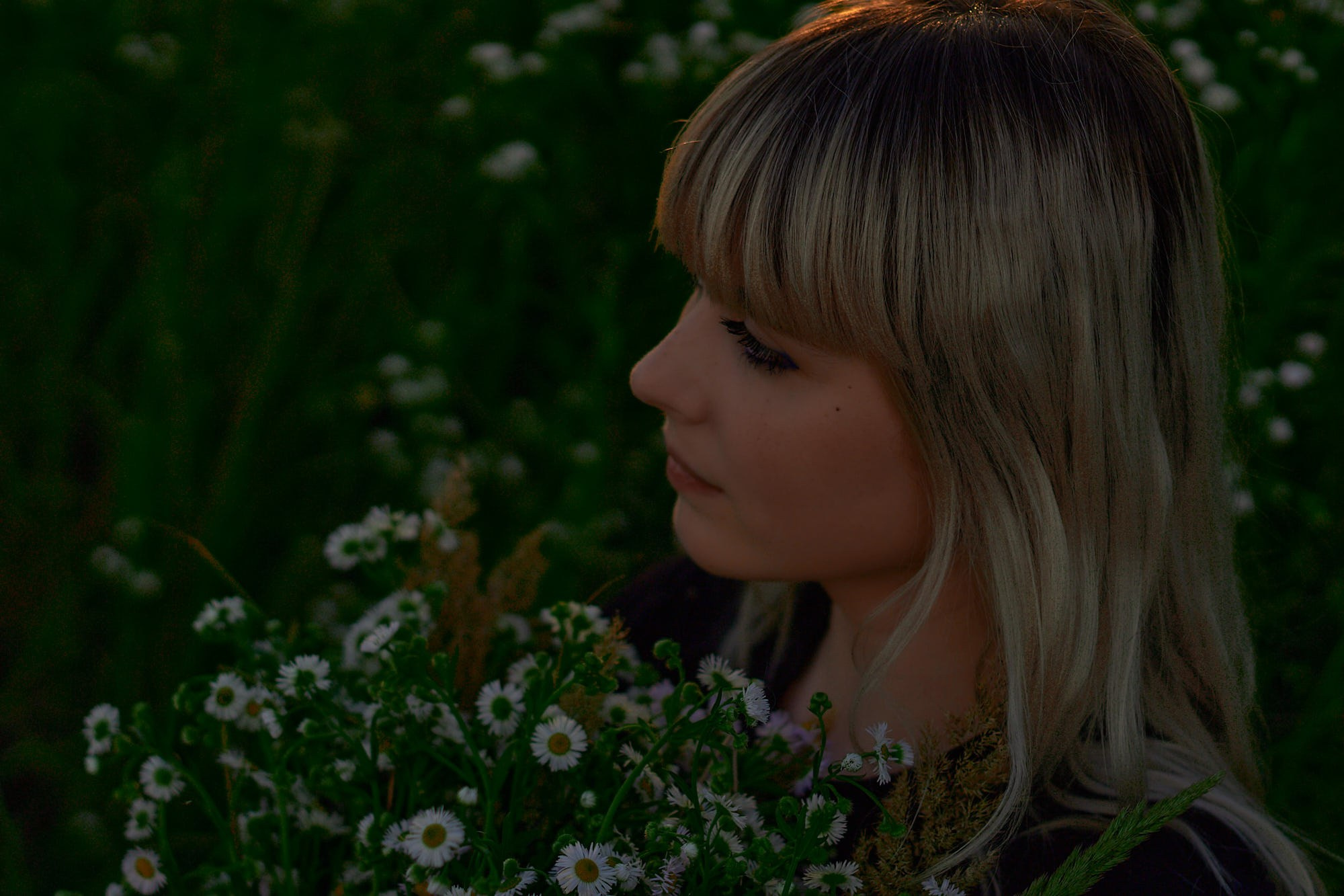 Фотосессия в ромашковом поле Лиля. Семейный и свадебный фотограф в Краснодаре Михеева Светлана