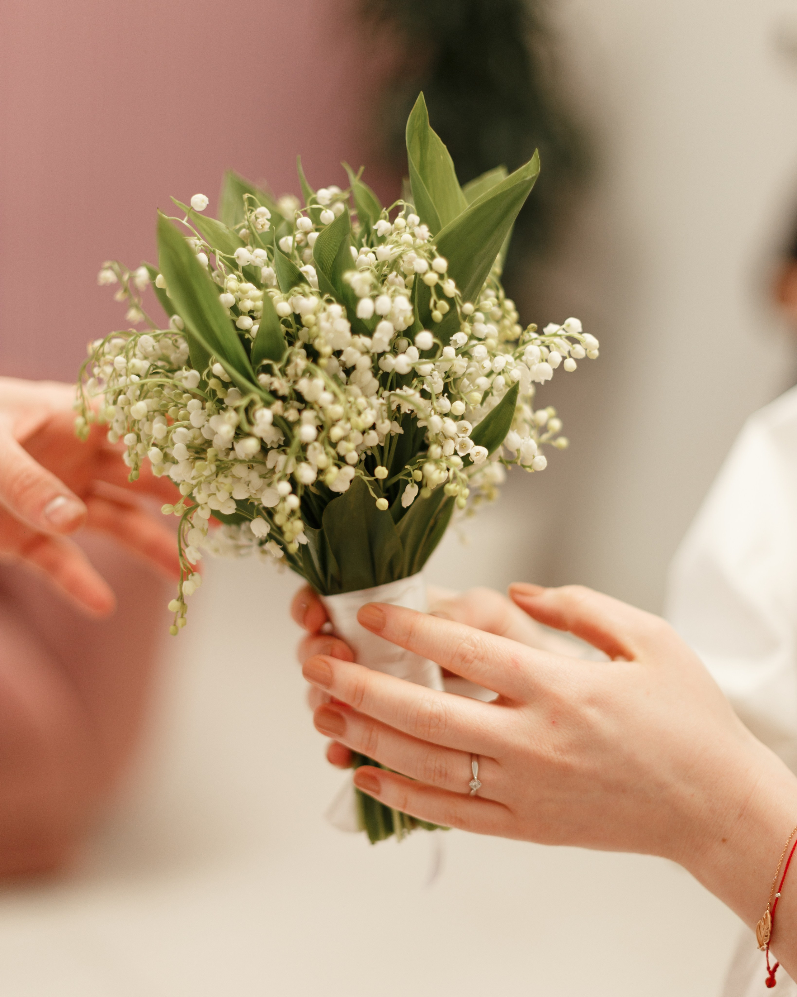 Максим и Алина. Фотограф в Москве — Евгения Прокопенко