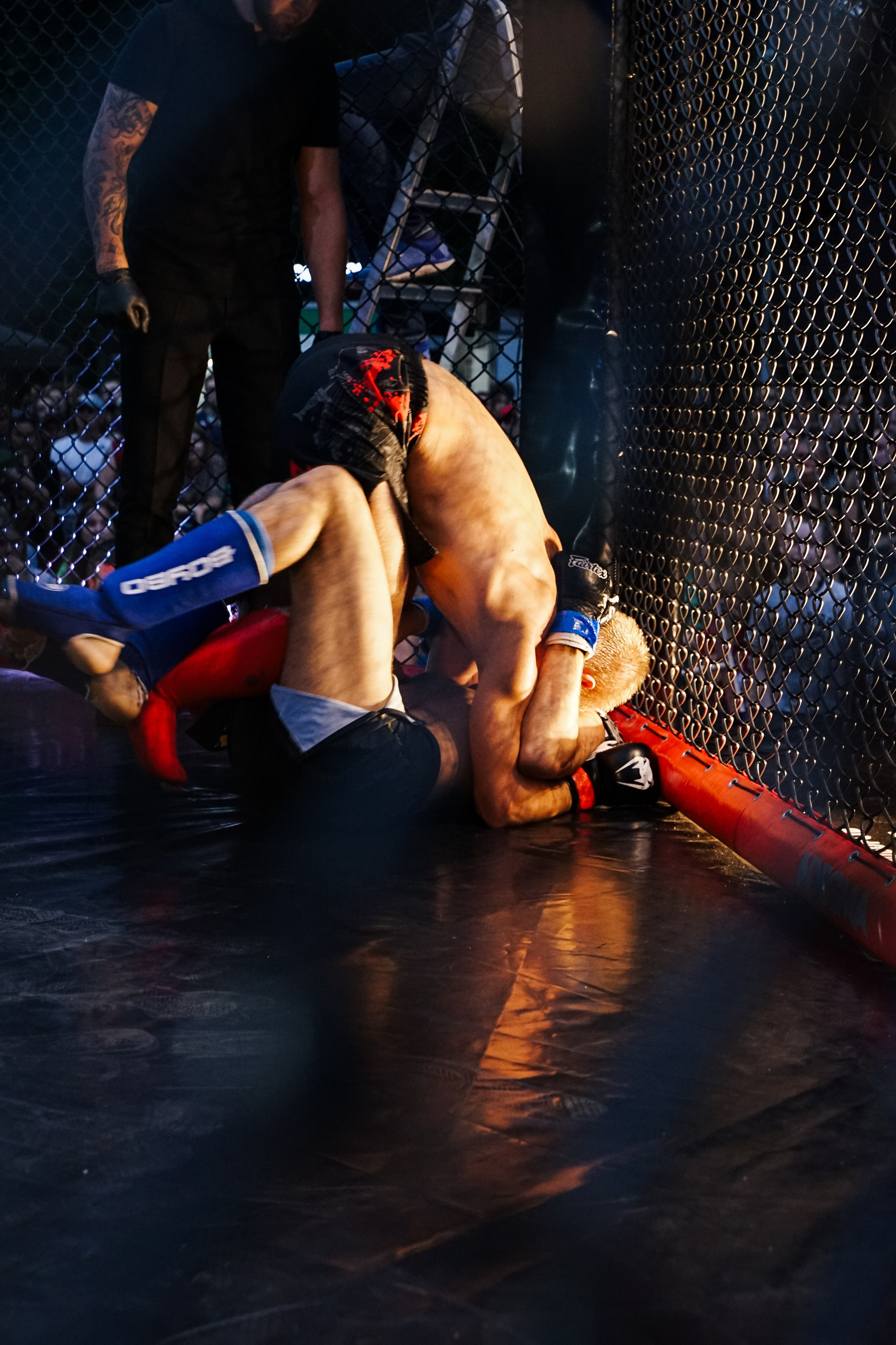 Вечер боев в ЦПКиО. Фотограф Надежда Погребняк | Рязань | Москва