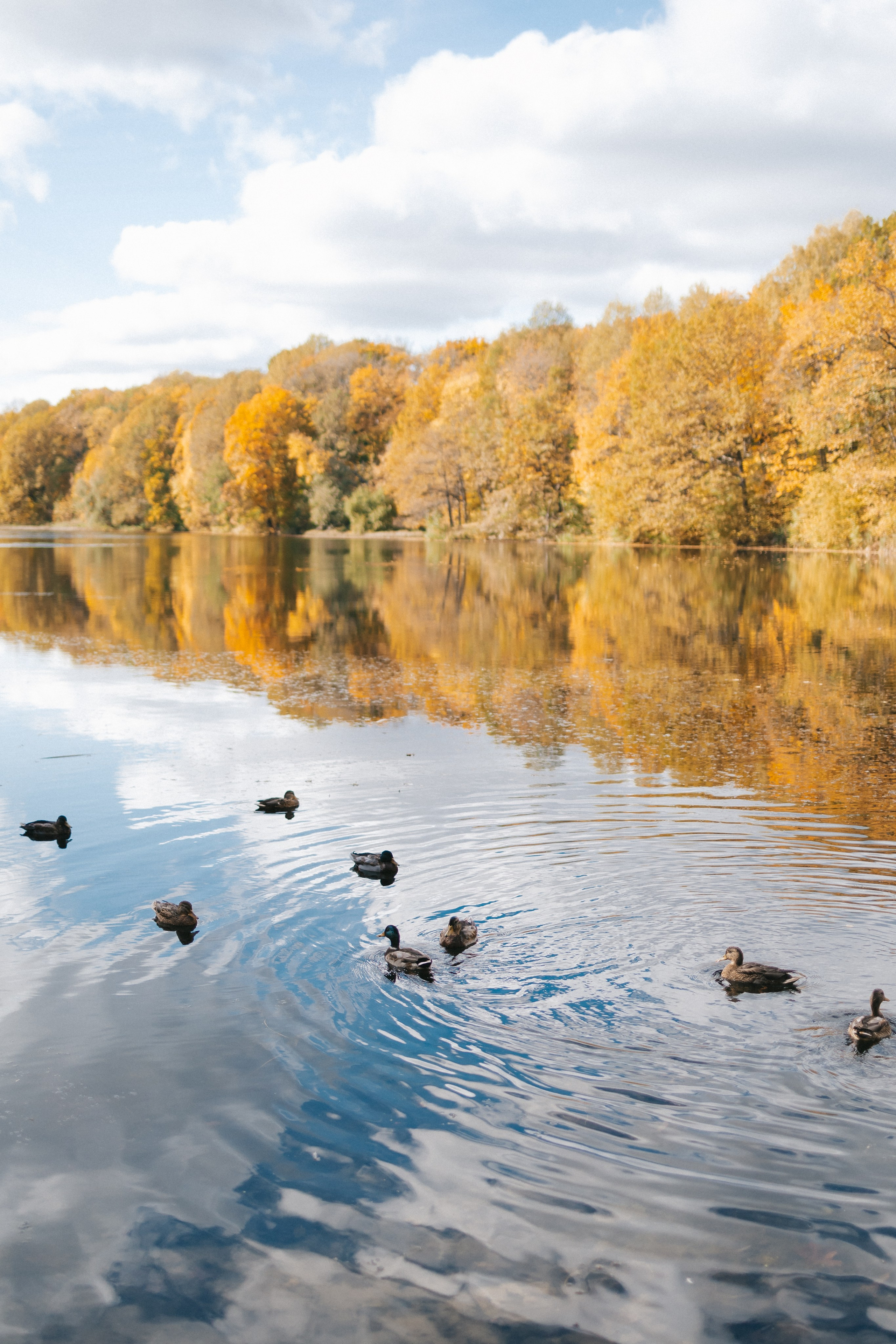 Большая семья. Фотограф Нижний Новгород