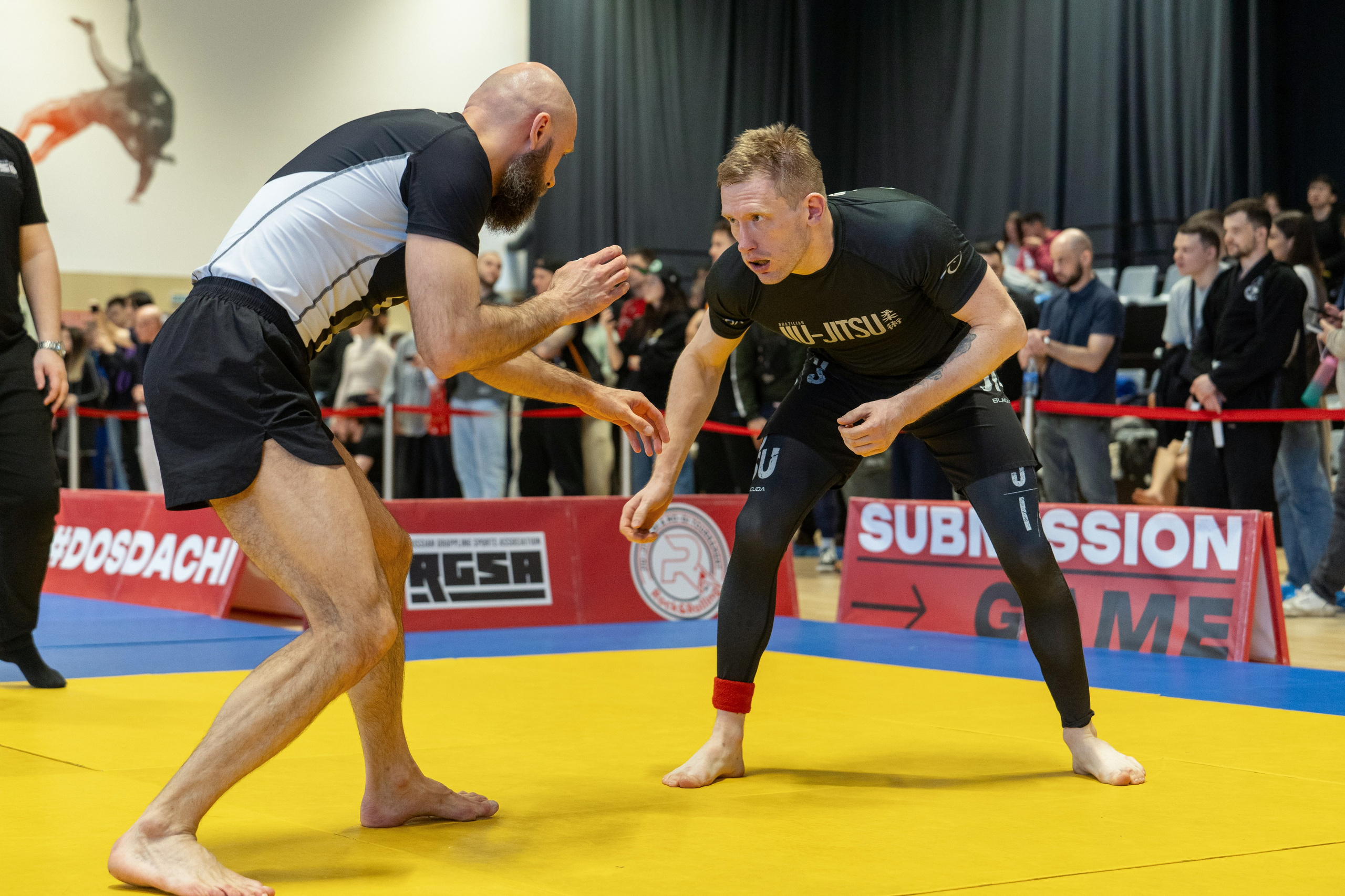 BJJ: Контакт. Фотограф Олеся Мочалова. Москва. Нижний Новгород