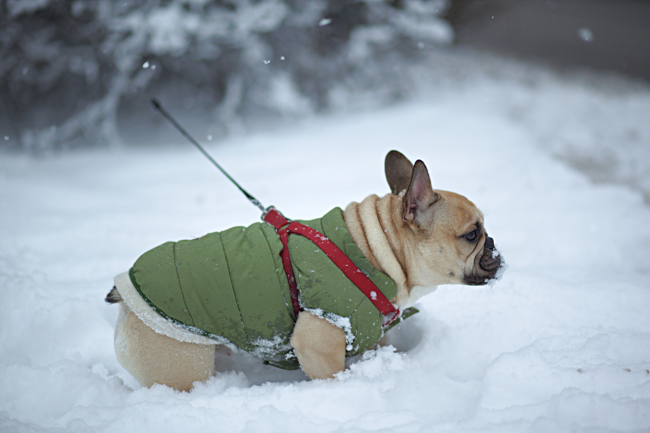 БЕРЕМЕННОСТЬ. Главная
