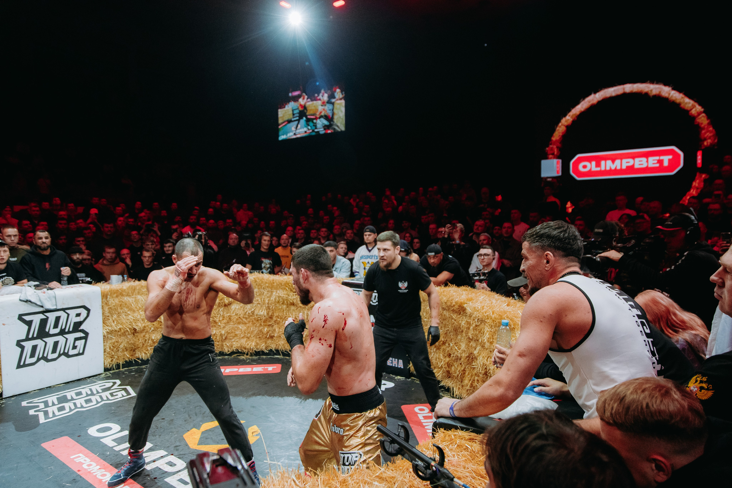 TOPDOG — 32. Фотограф в Саратове Александр Кухаренко. И не только в Саратове :)